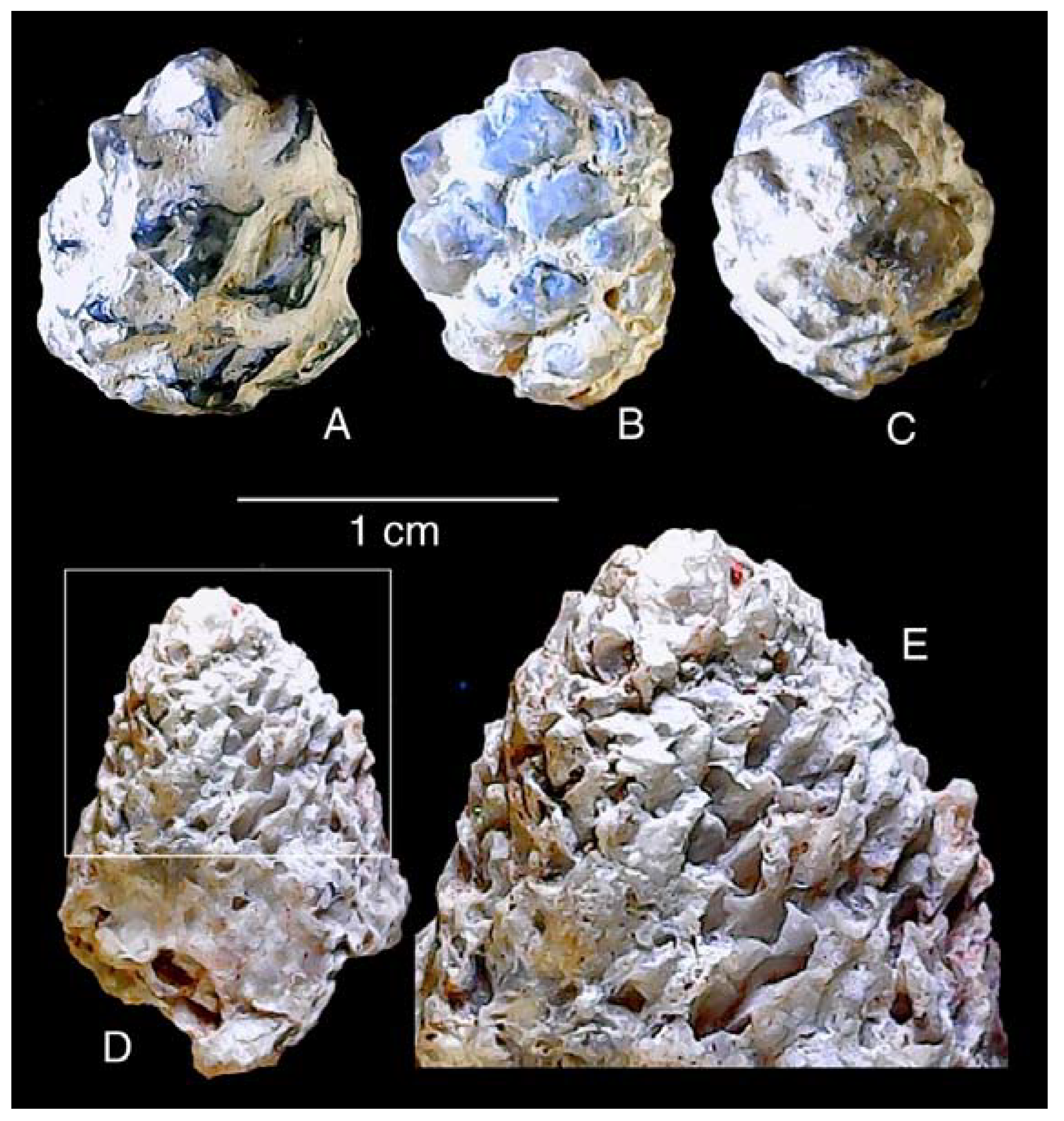 Minerals 13 01471 g015