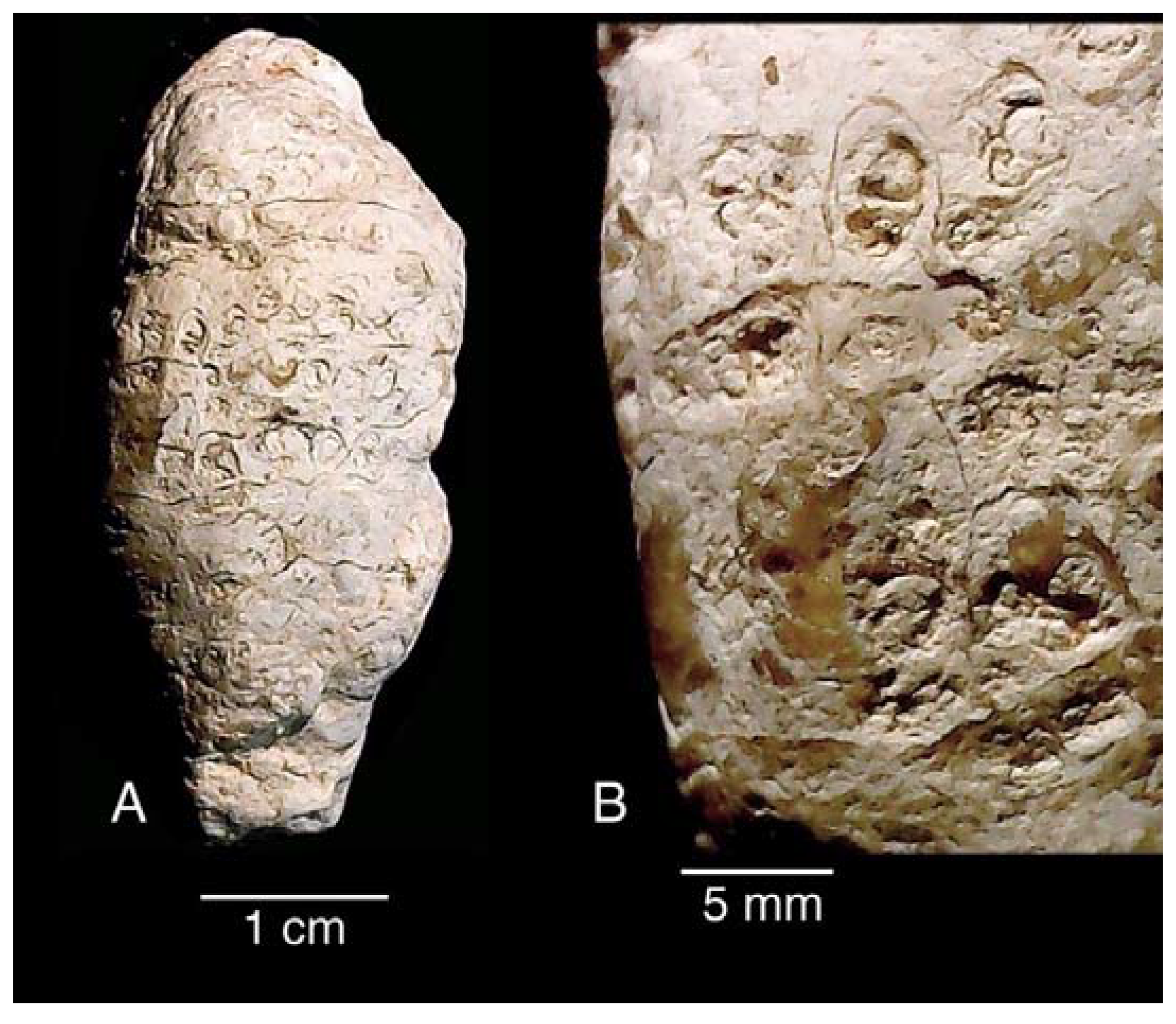 Minerals 13 01471 g017