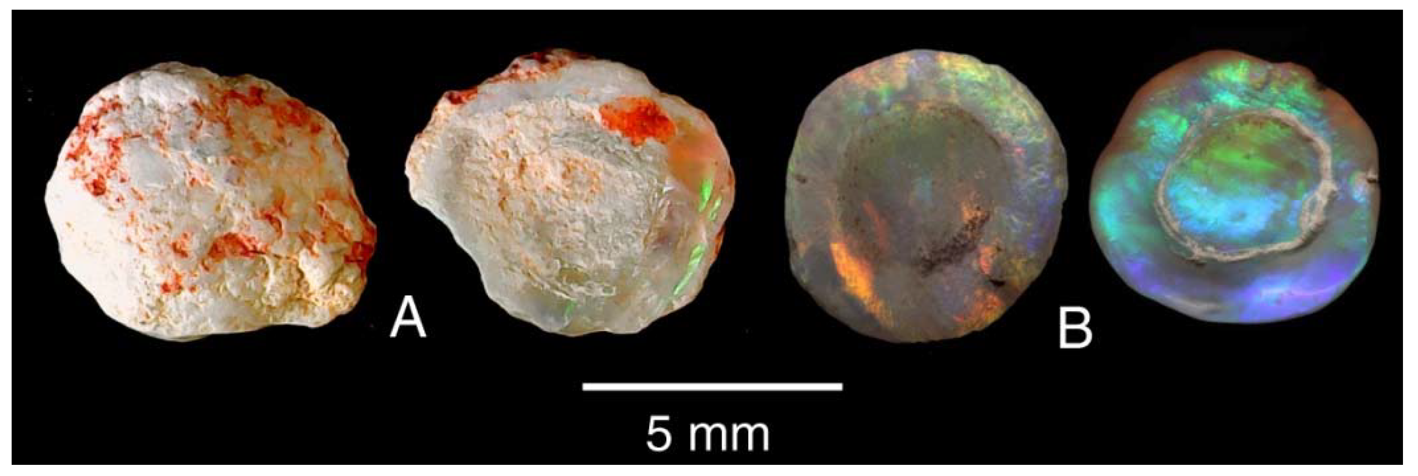 Minerals 13 01471 g020