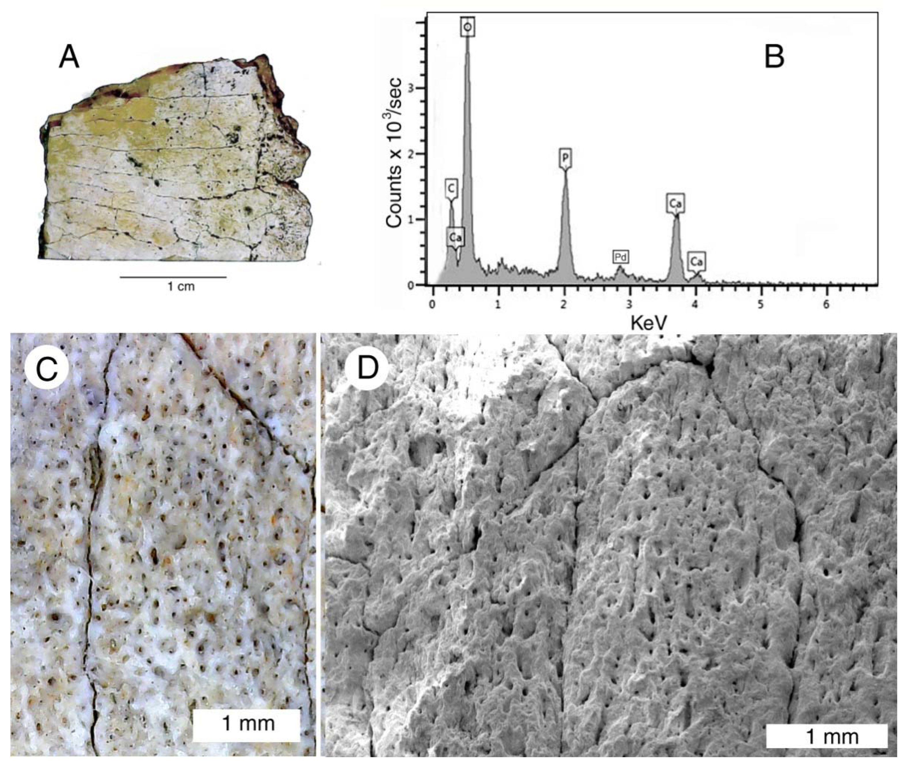 Minerals 13 01471 g023