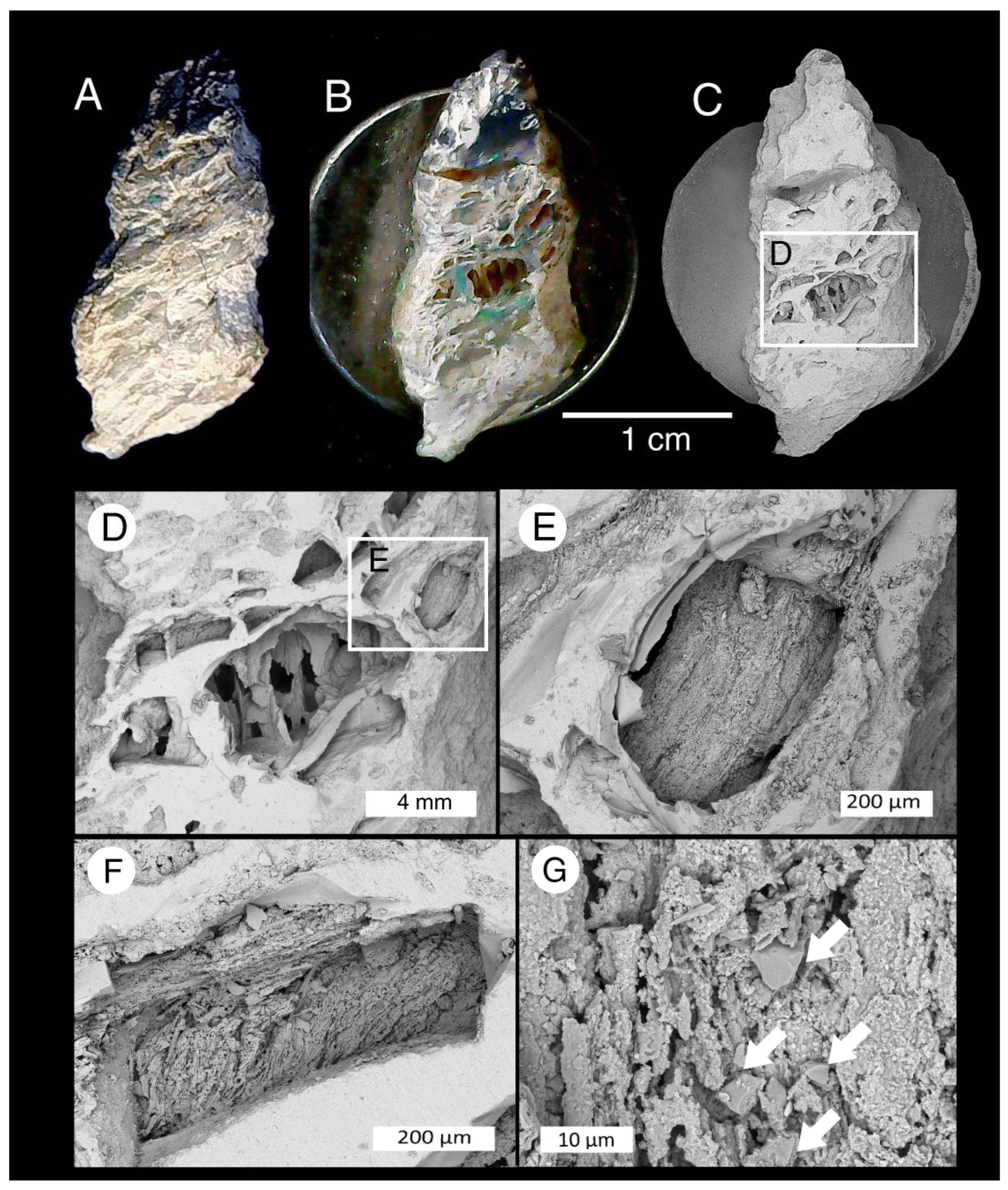 Minerals 13 01471 g026