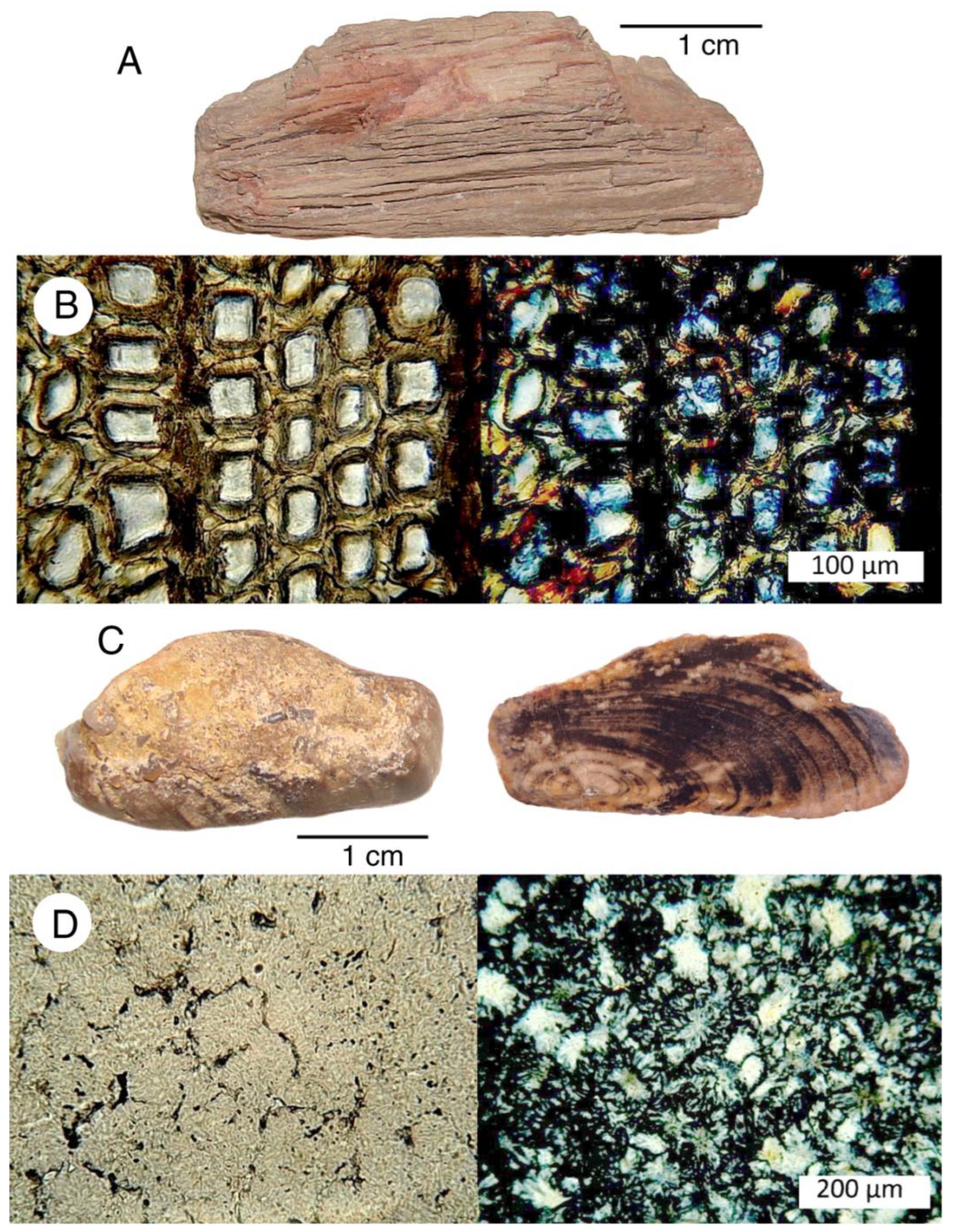 Minerals 13 01471 g028
