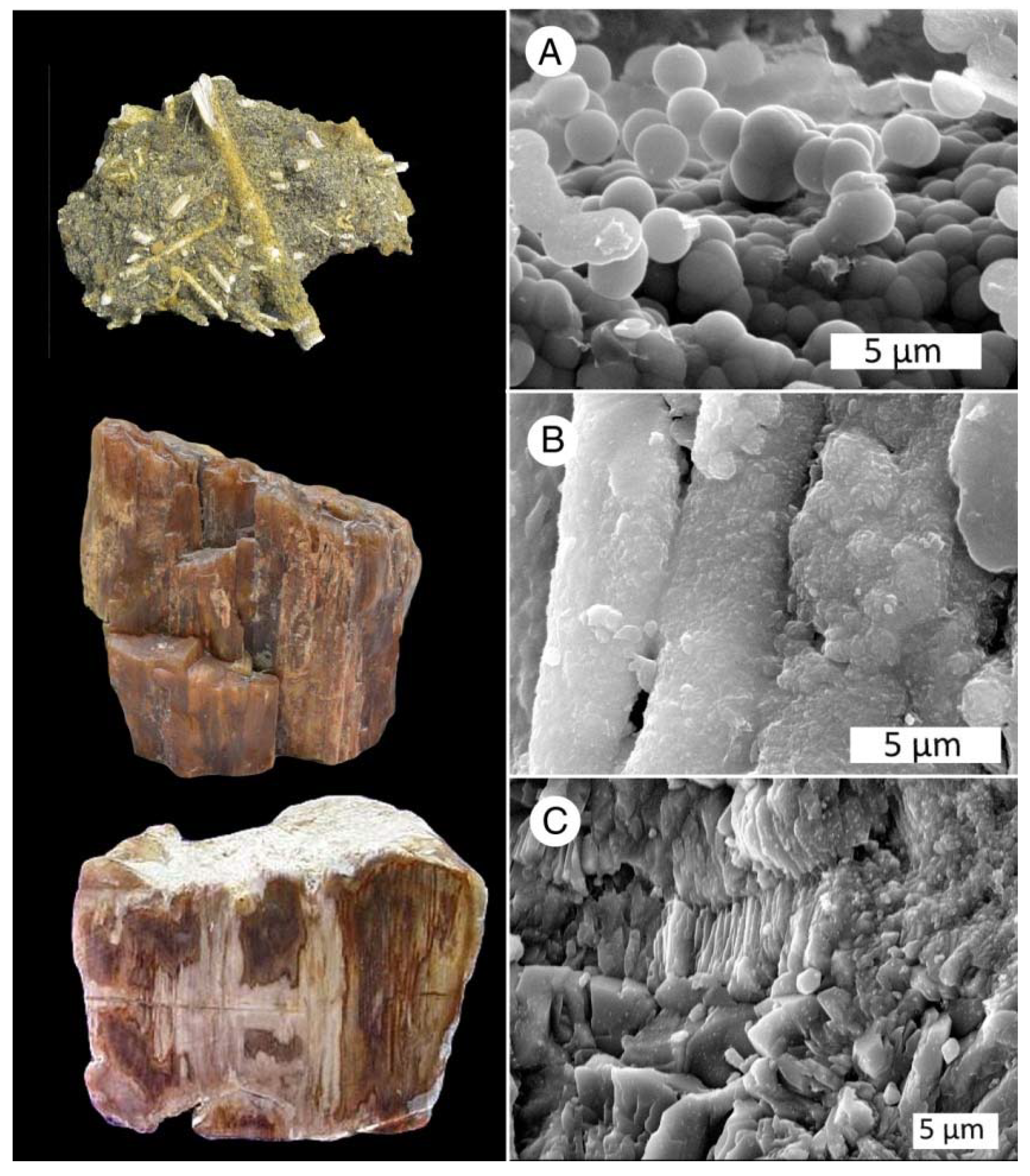 Minerals 13 01471 g029