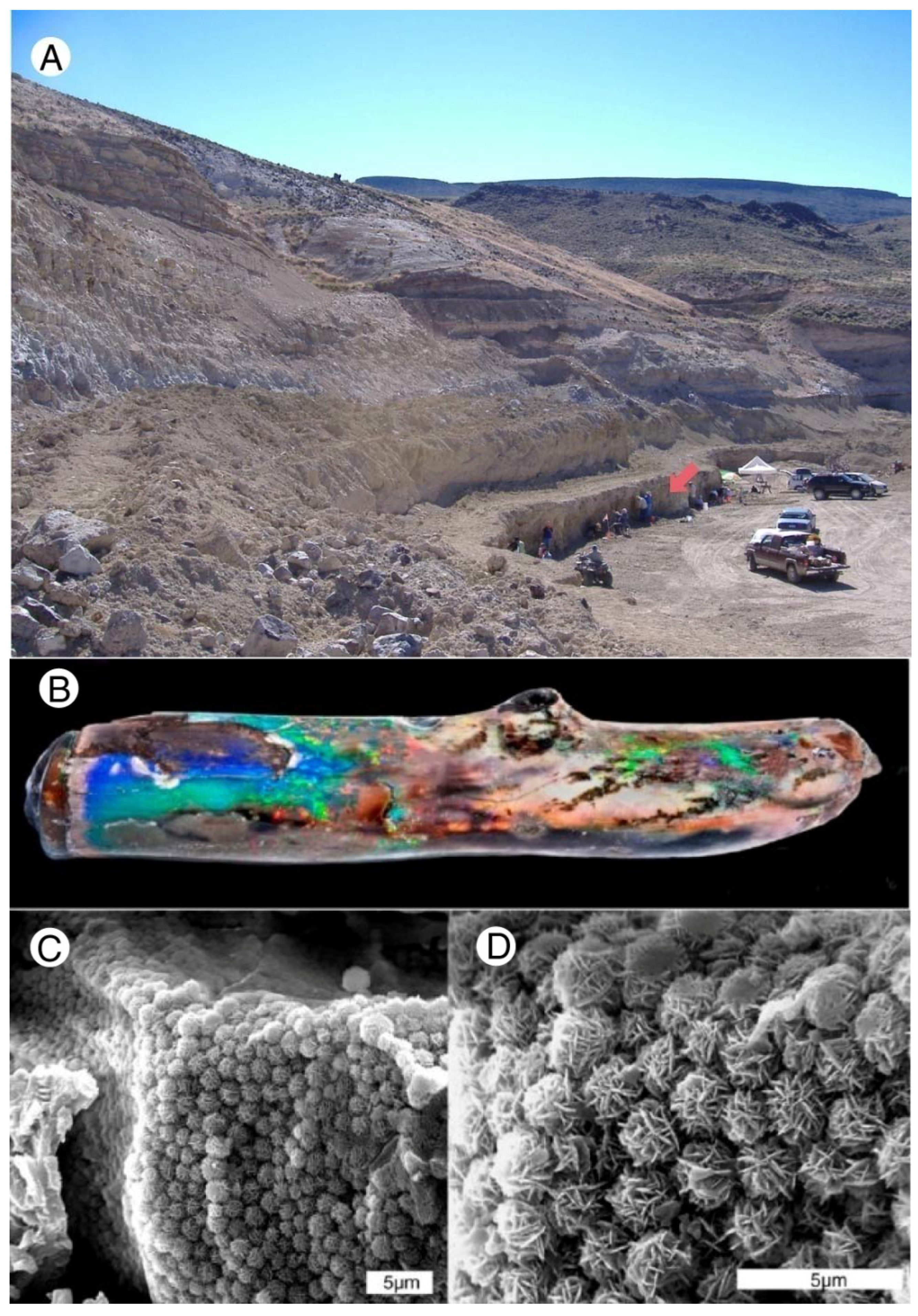 Minerals 13 01471 g030