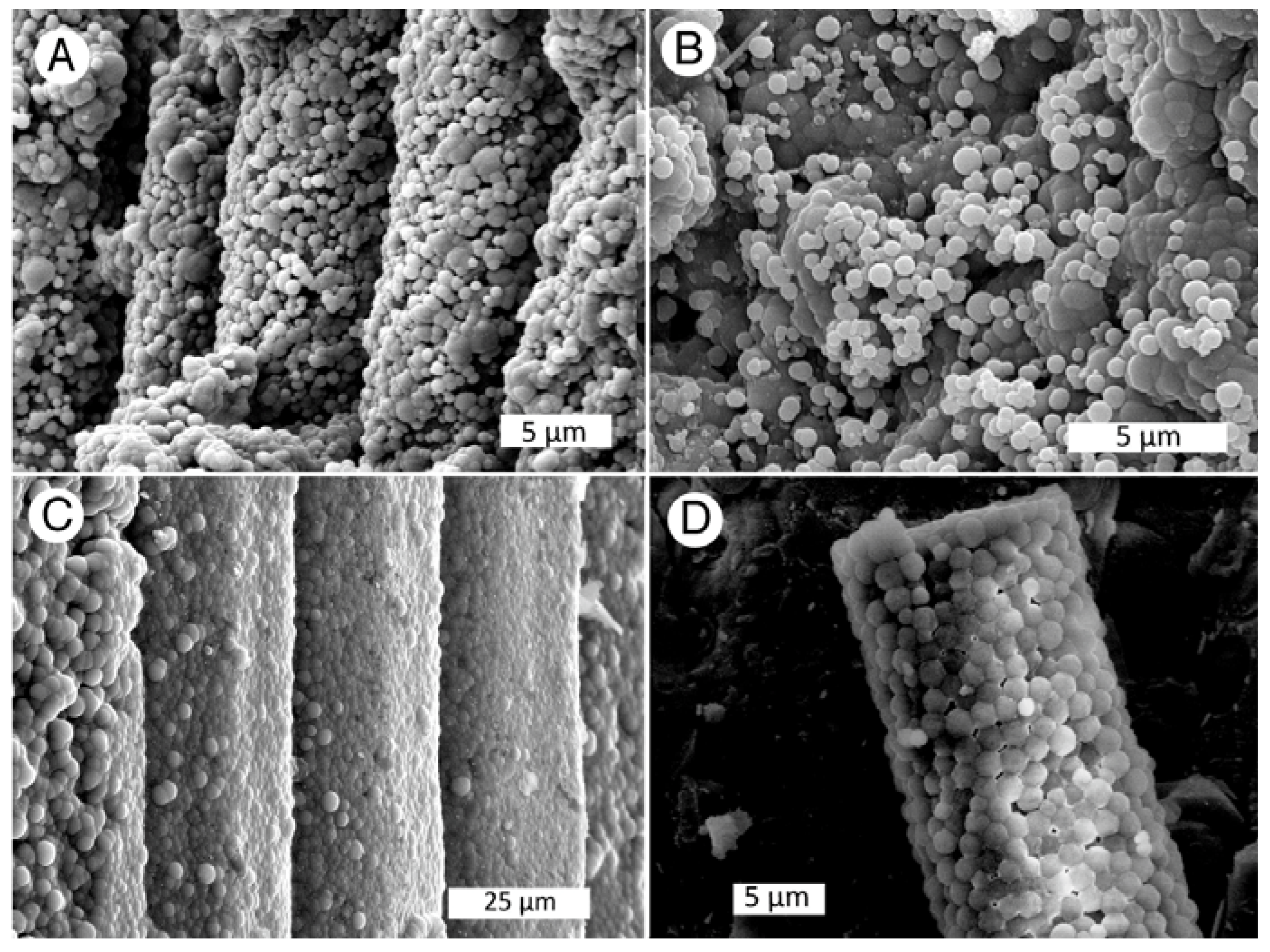 Minerals 13 01471 g031