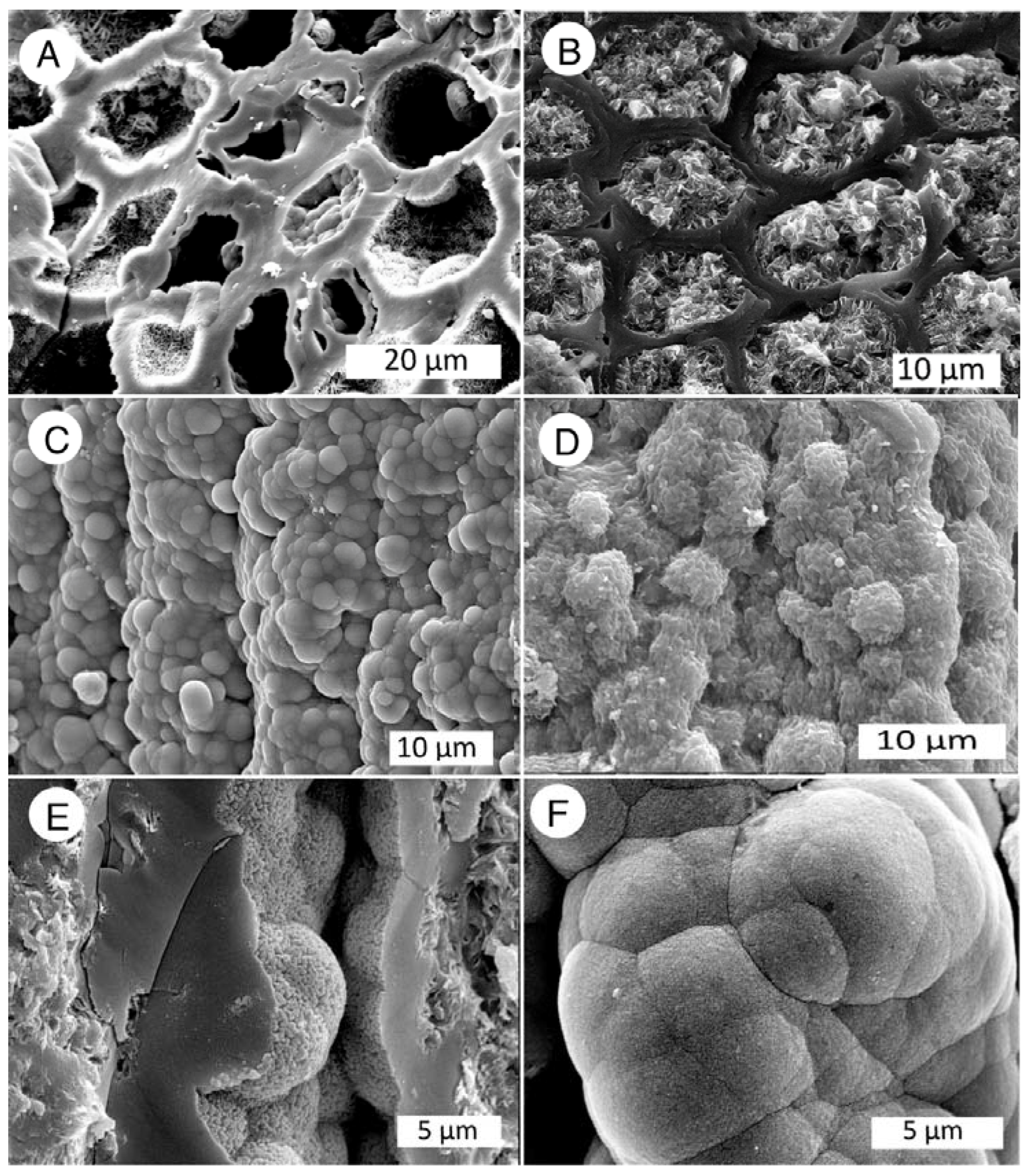 Minerals 13 01471 g032