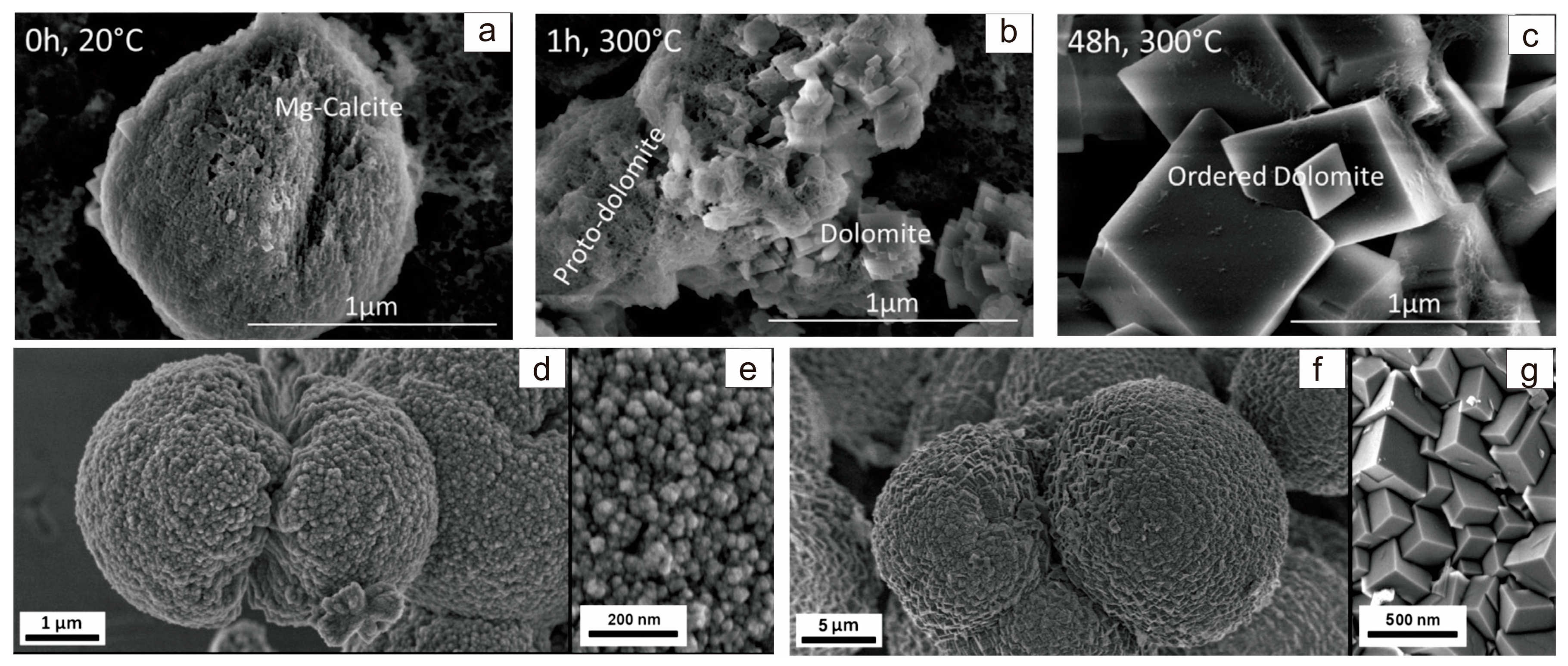 Minerals 13 01479 g008