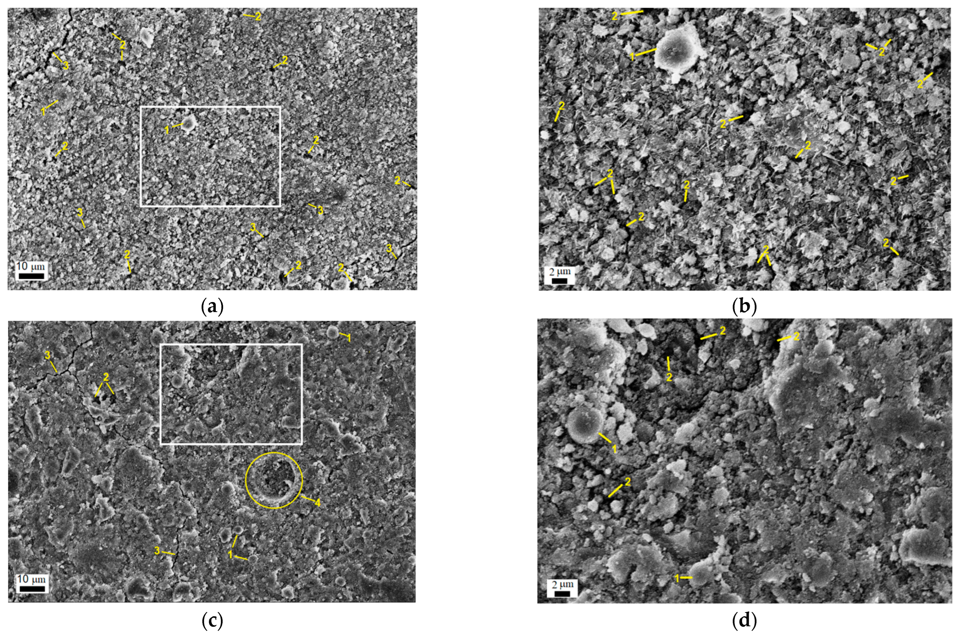 Minerals 13 01493 g010 Minerals 13 01493 g010