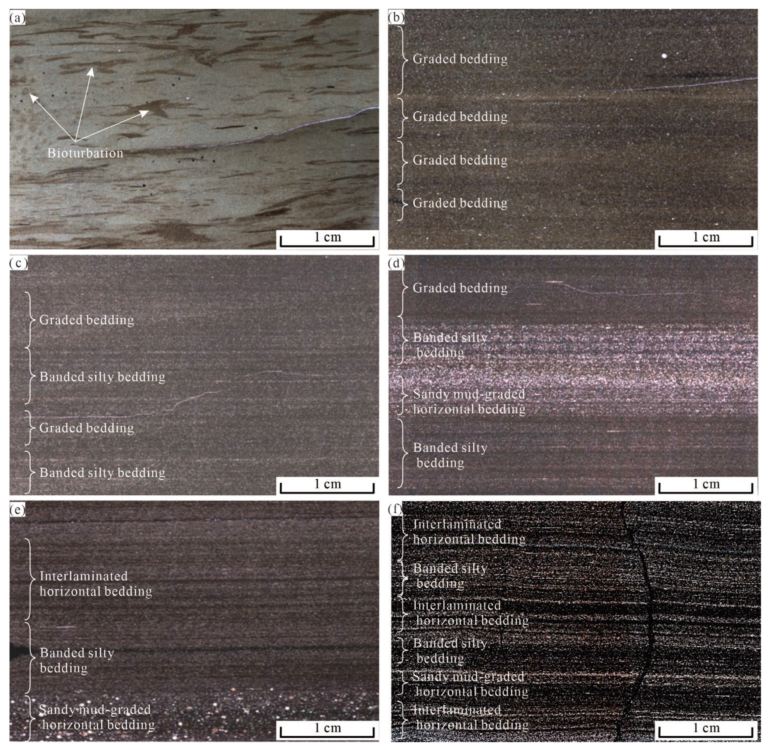 Minerals 13 01502 g004