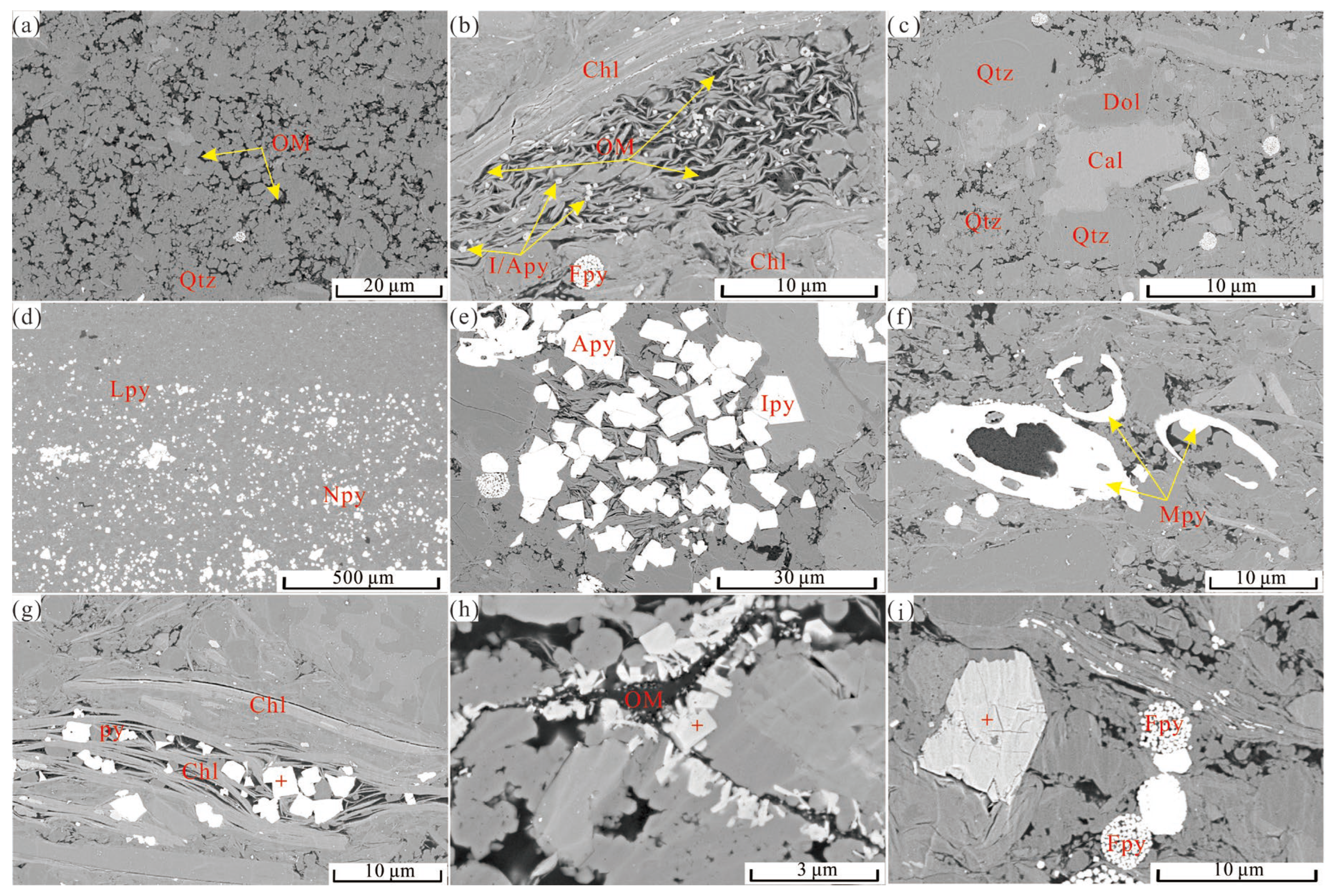 Minerals 13 01502 g005