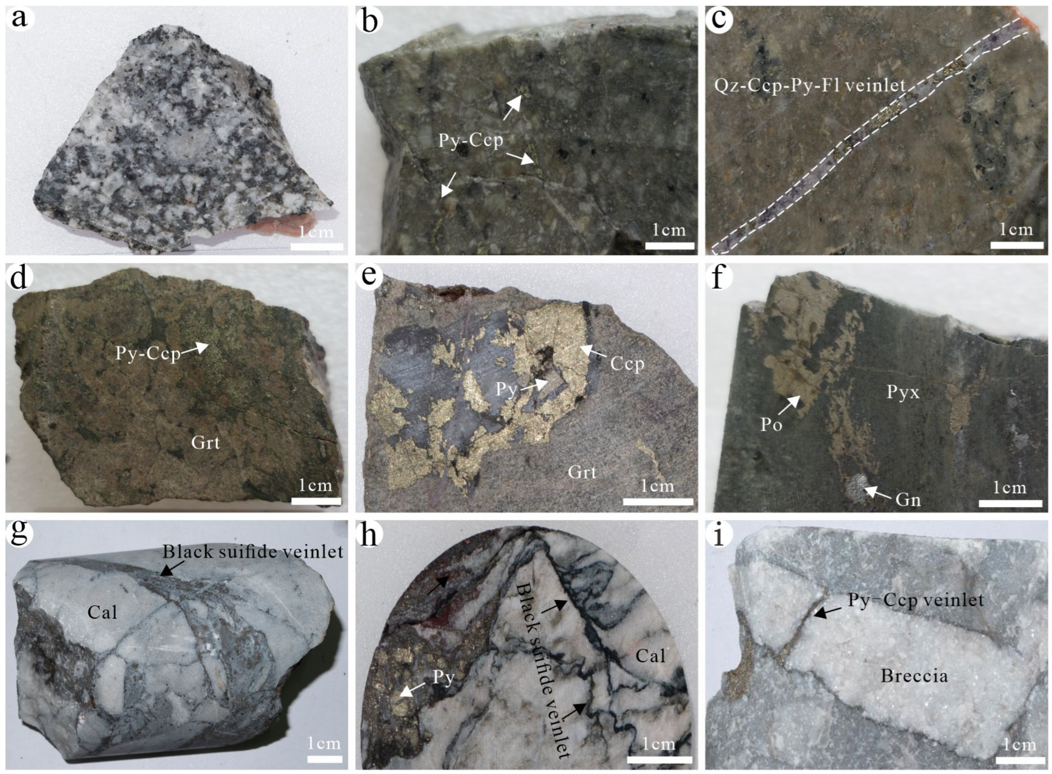 Minerals 13 01516 g003