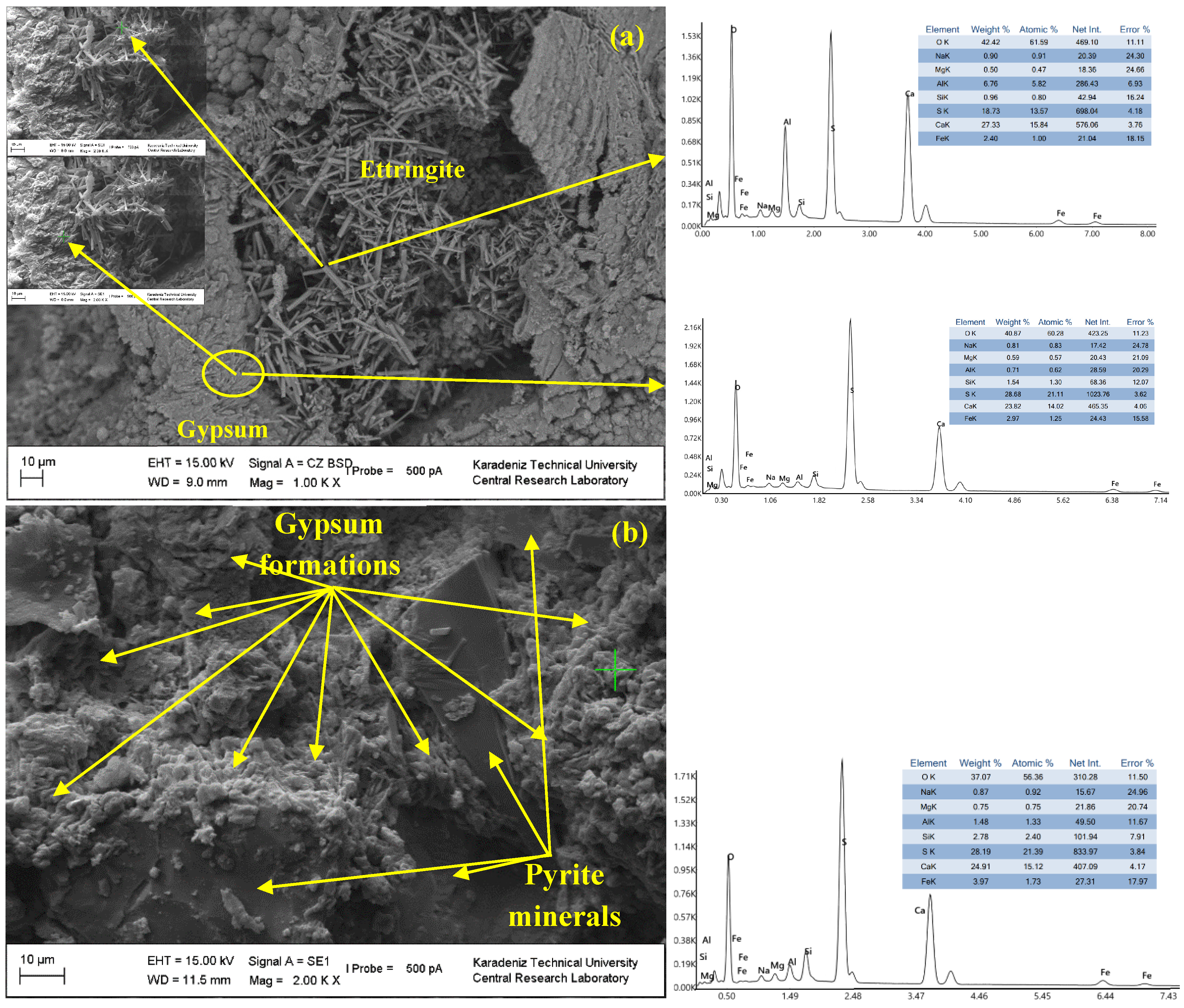 Minerals 13 01524 g007