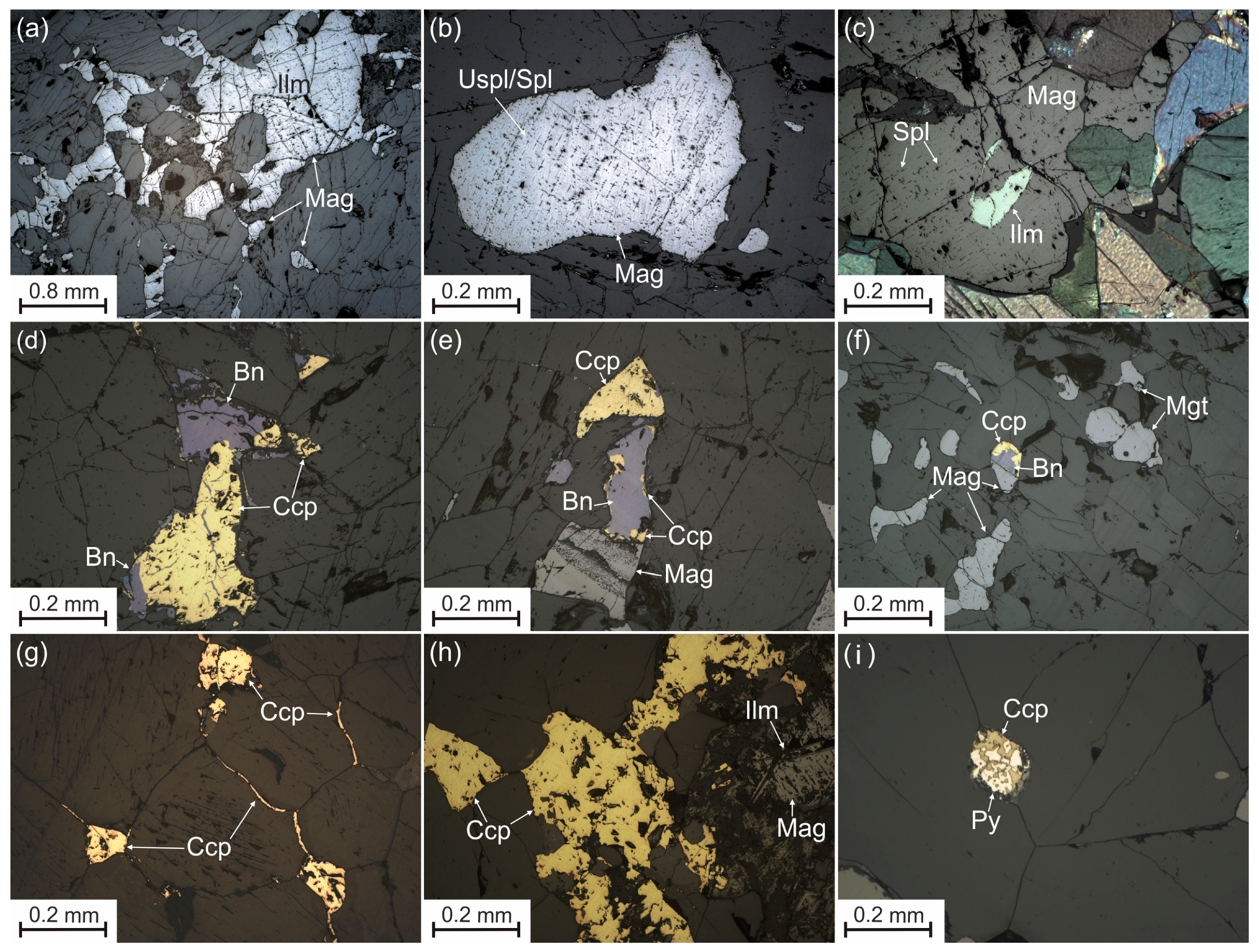 Minerals 13 01528 g004