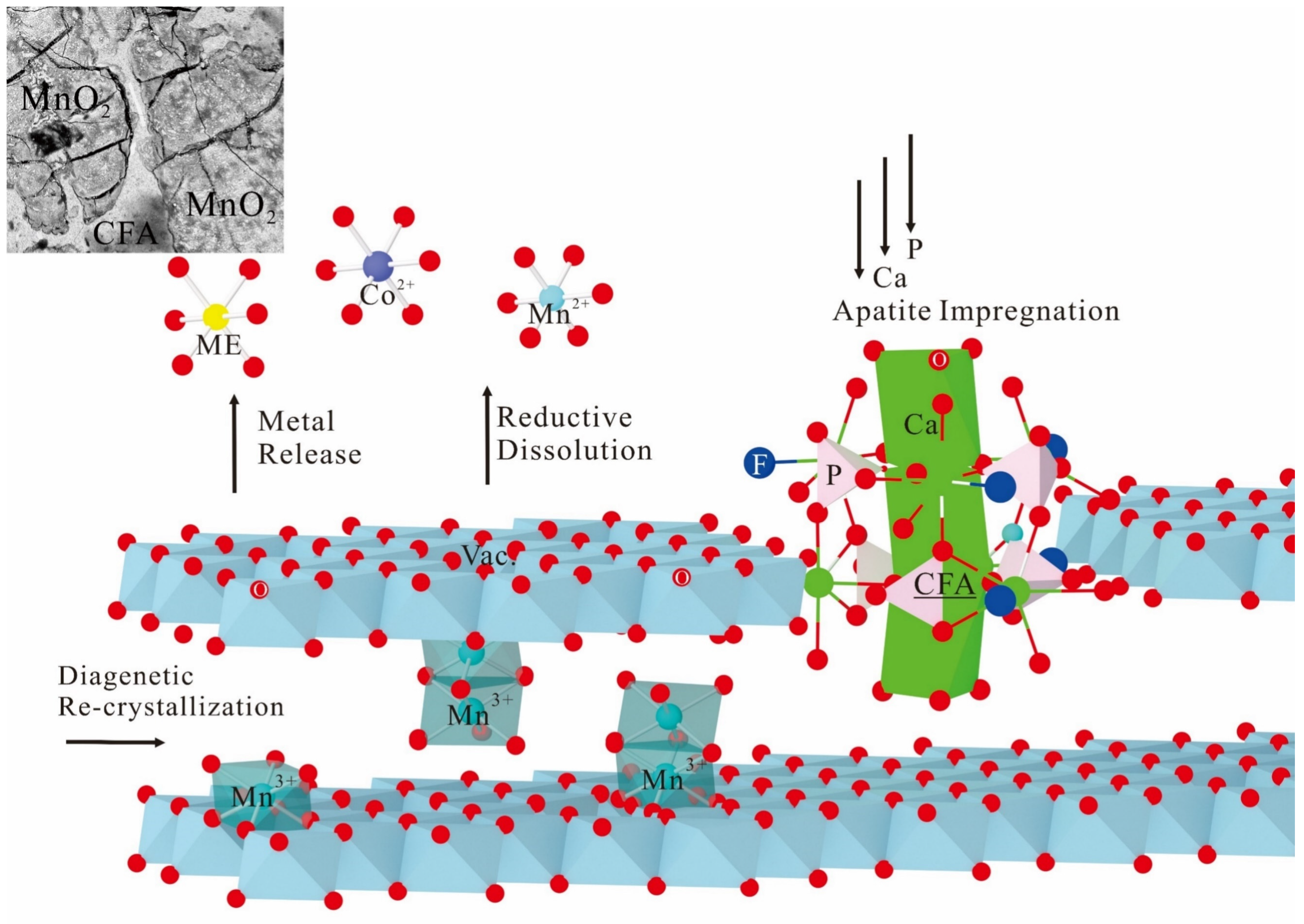 Minerals 13 01532 g004 Minerals 13 01532 g004