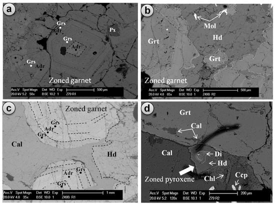 Minerals 13 01537 g008