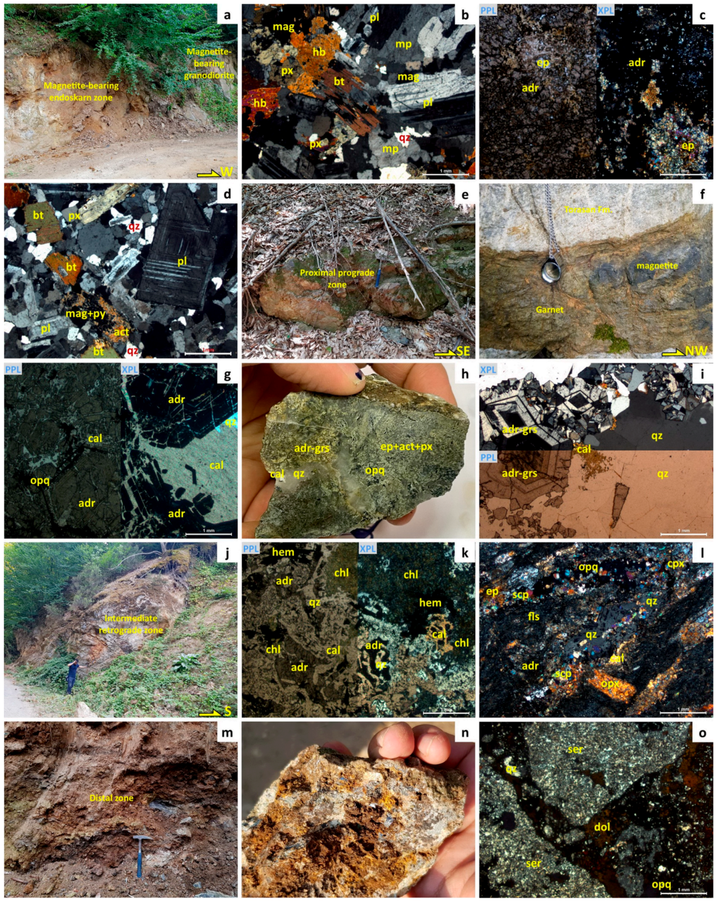 Minerals 13 01542 g005