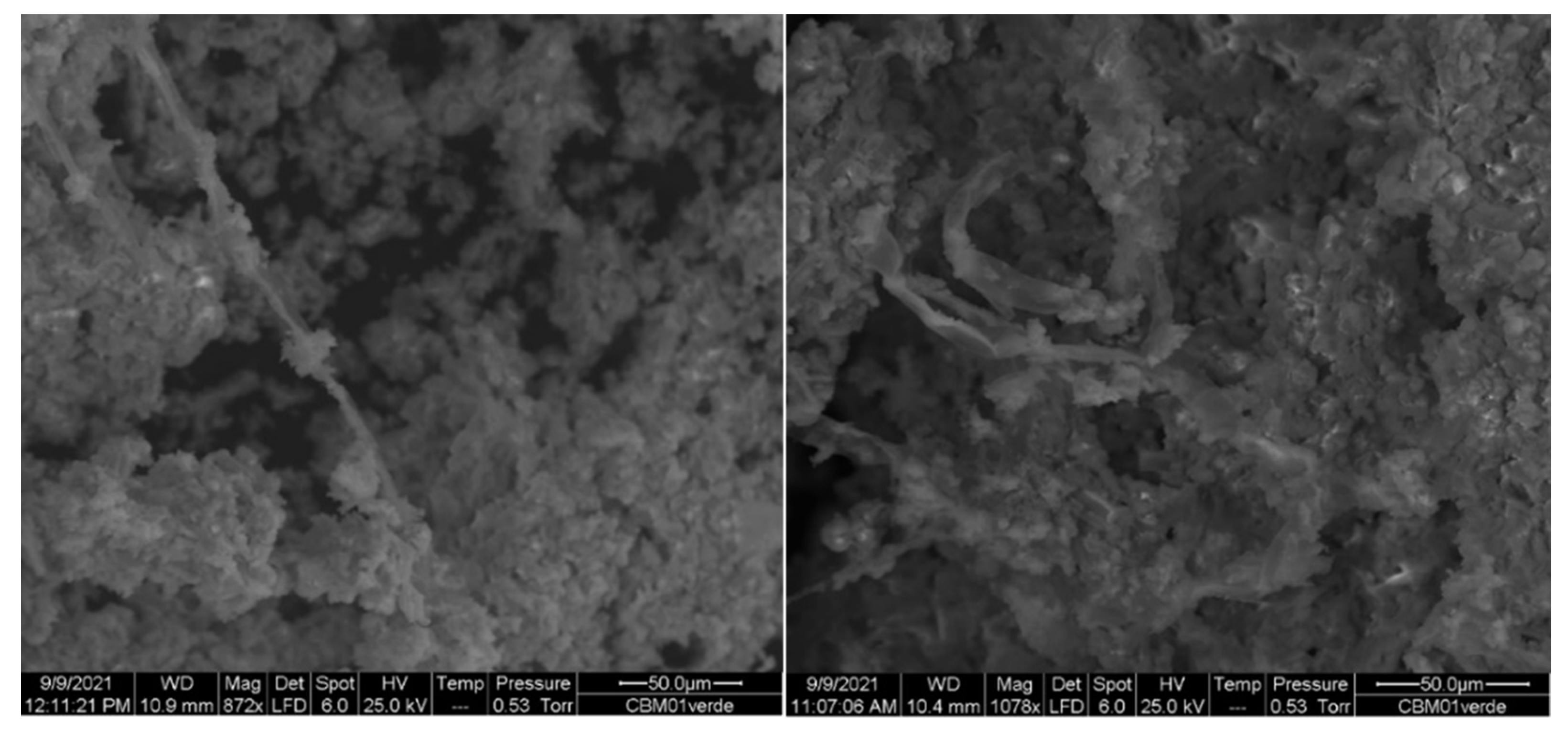 Minerals 14 00003 g010