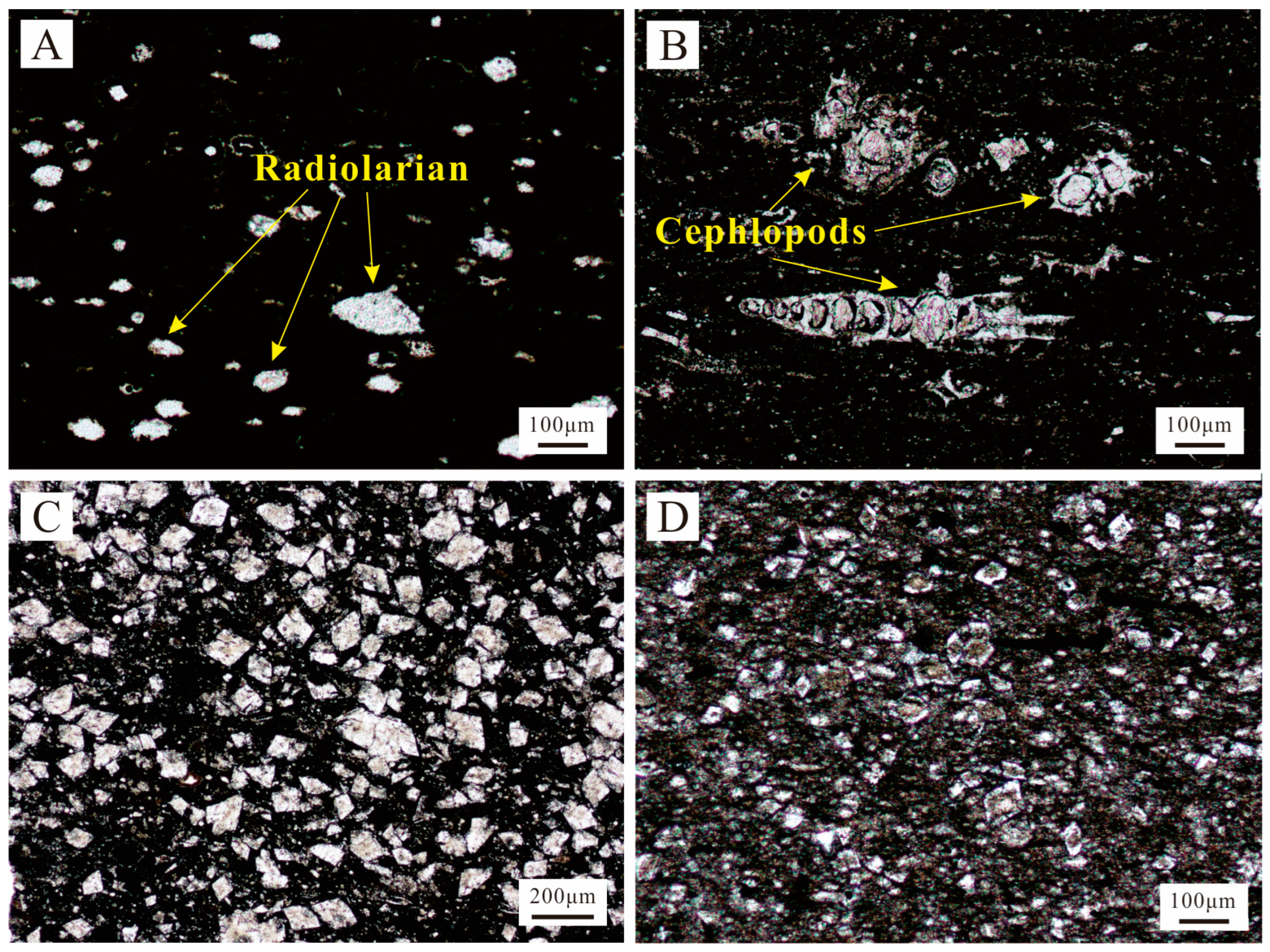 Minerals 14 00010 g005