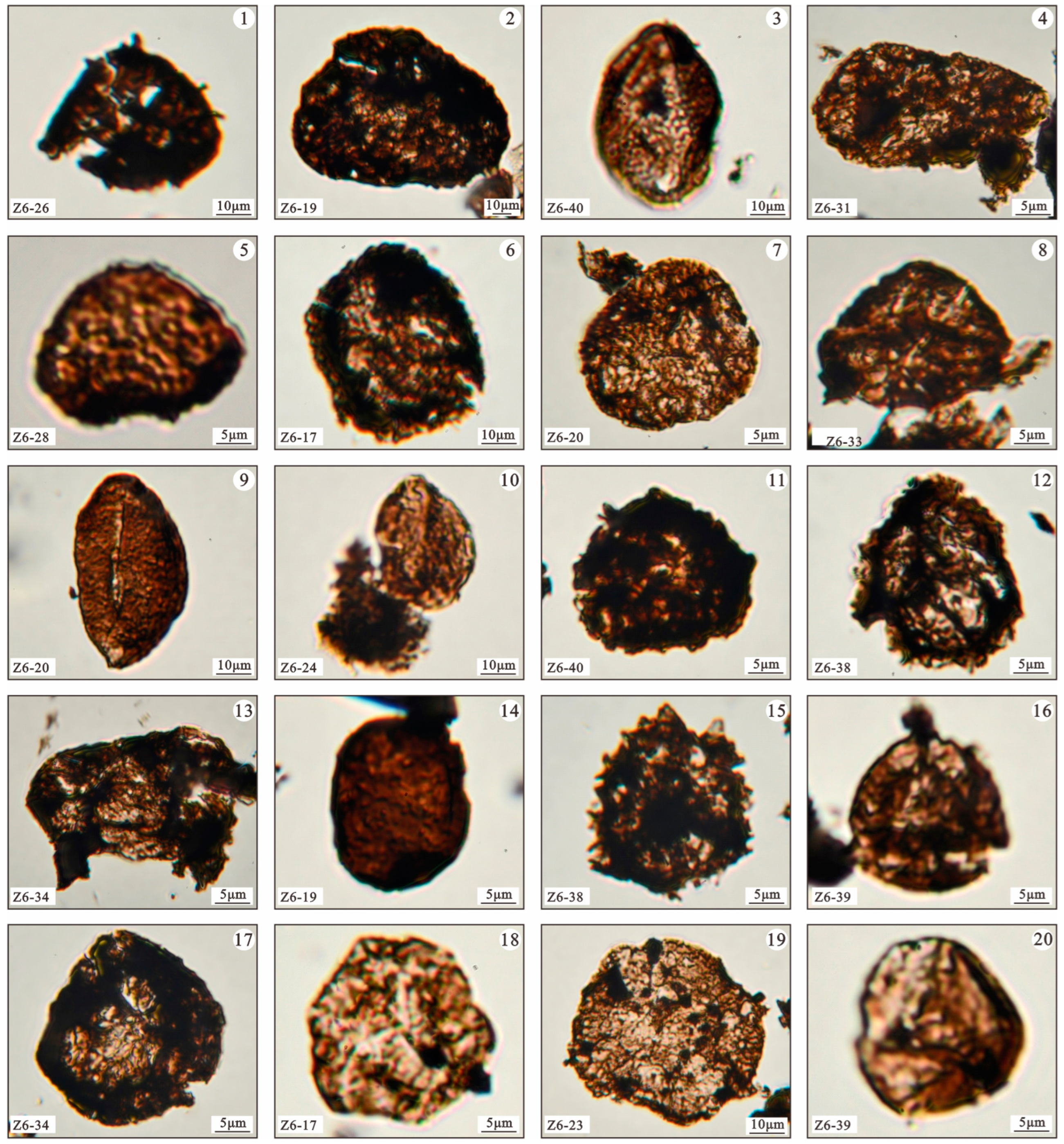 Minerals 14 00032 g002