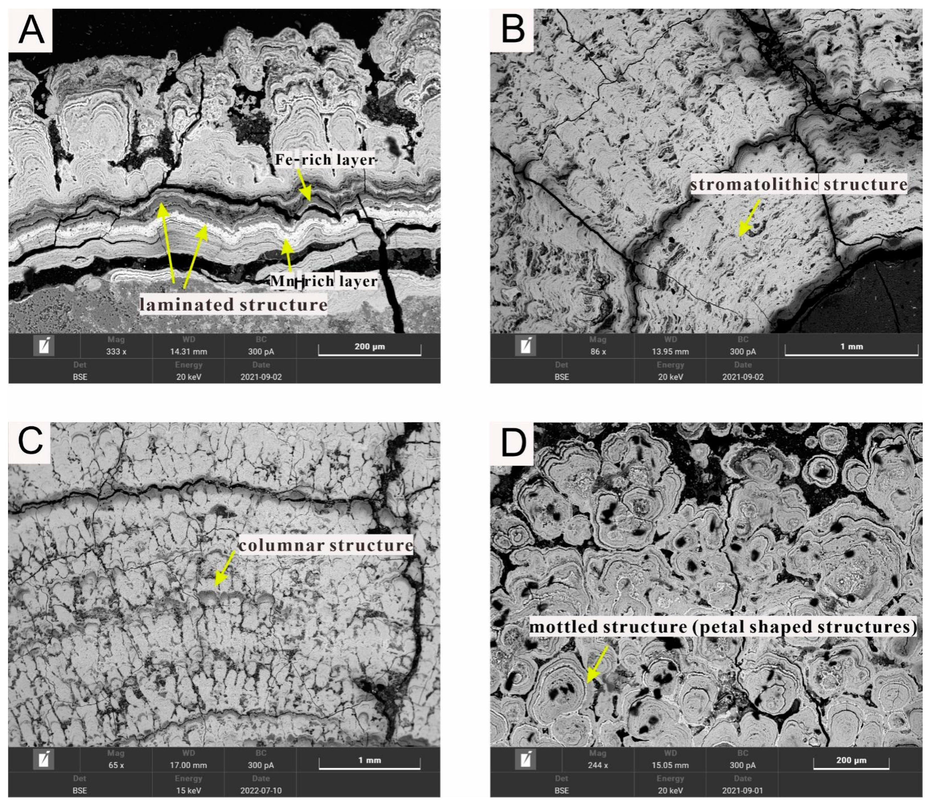 Minerals 14 00047 g003