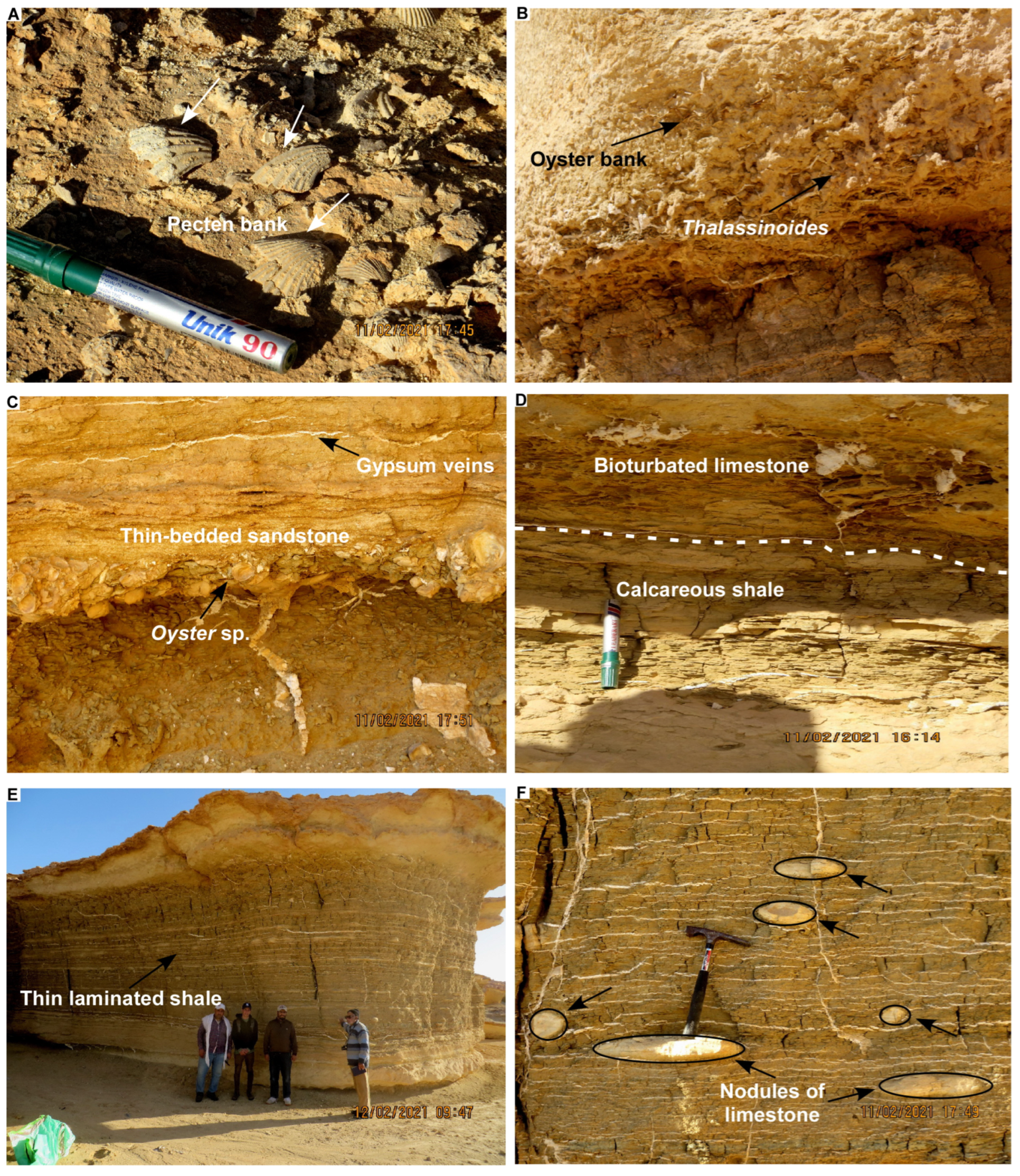 Minerals 14 00073 g004