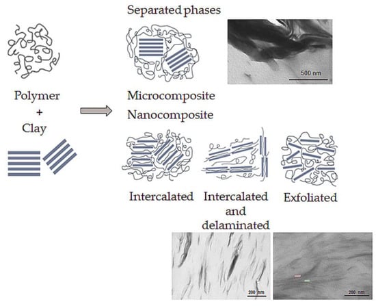 Minerals 14 00093 g006