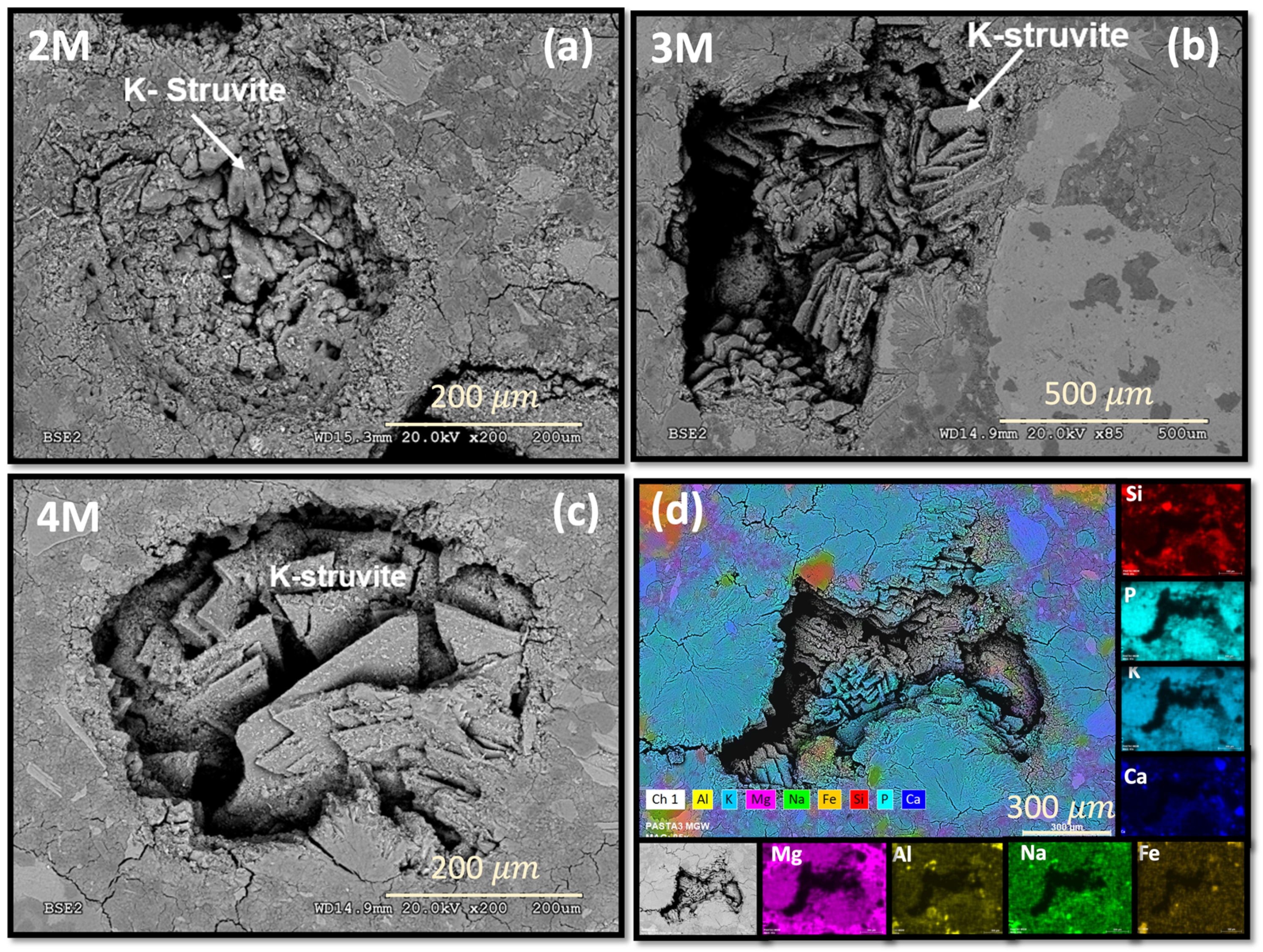 Minerals 14 00103 g006