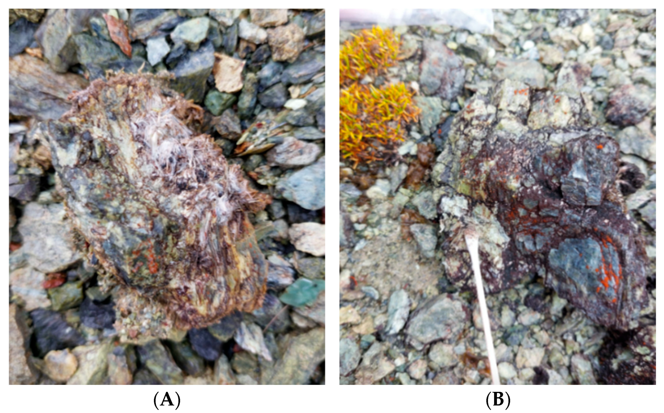 Minerals 14 00106 g003