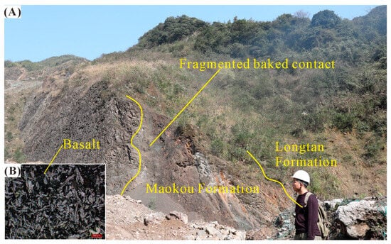 Minerals 14 00129 g006