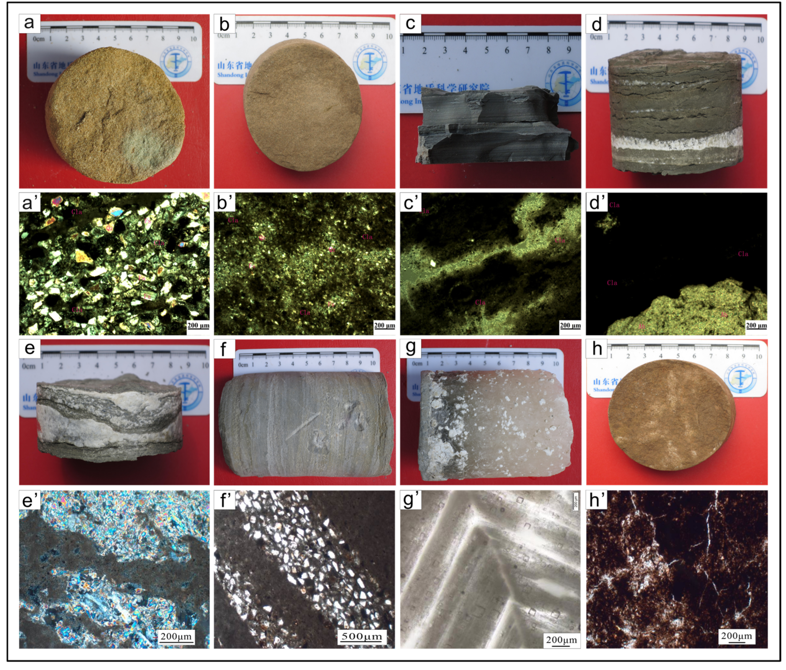 Minerals 14 00131 g003