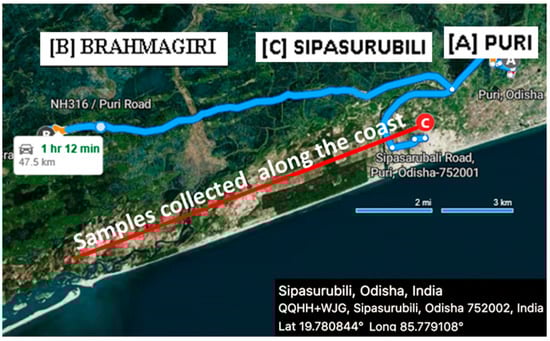 Minerals 14 00139 g003