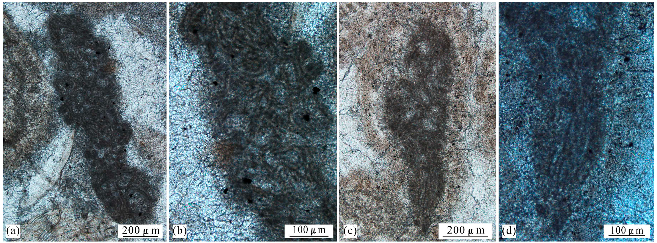 Minerals 14 00144 g007