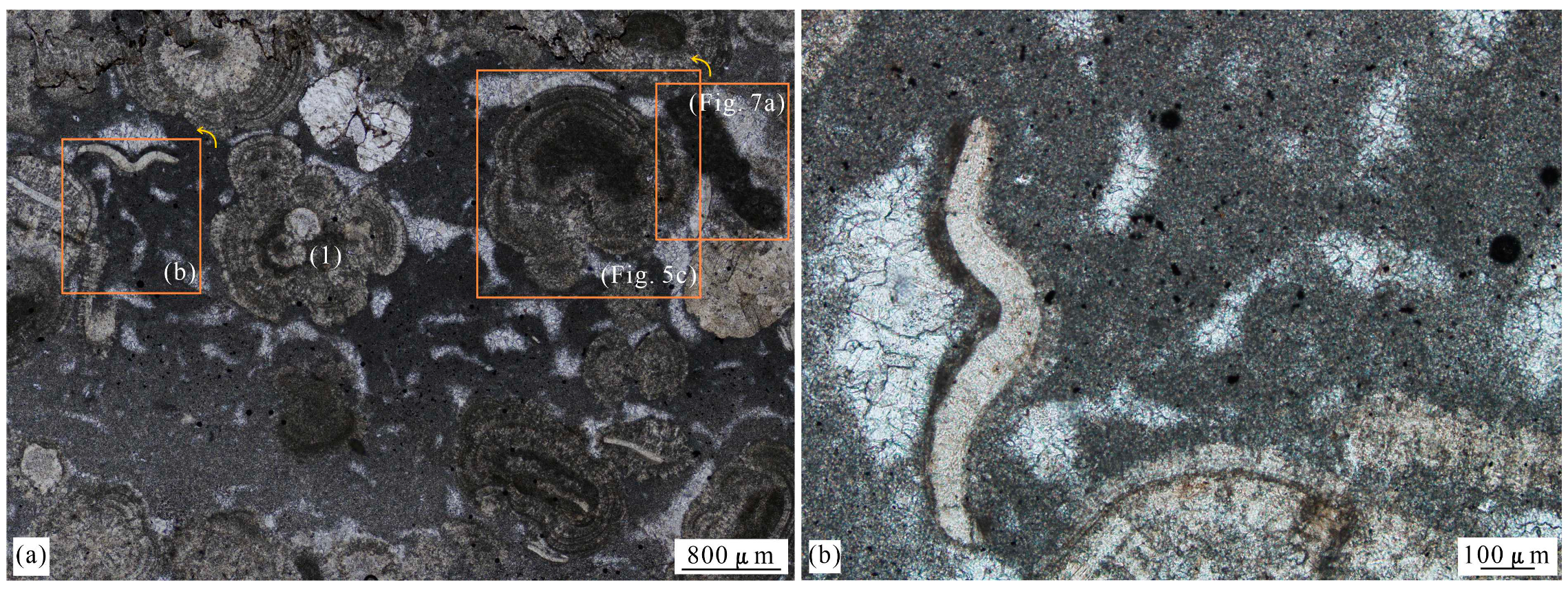 Minerals 14 00144 g009