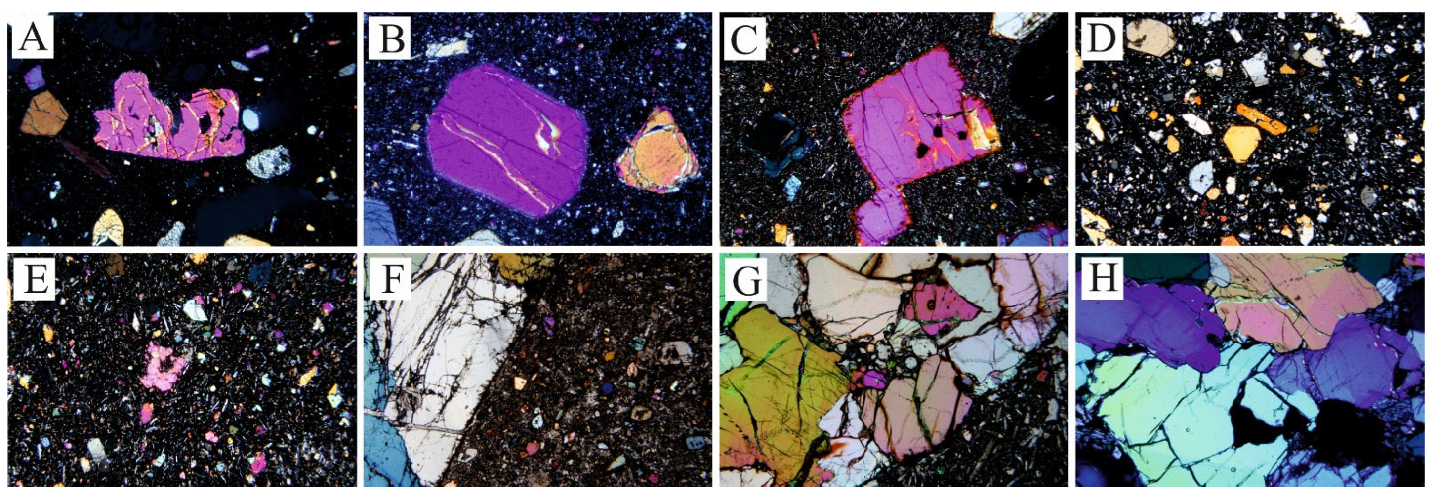 Minerals 14 00161 g004 Minerals 14 00161 g004