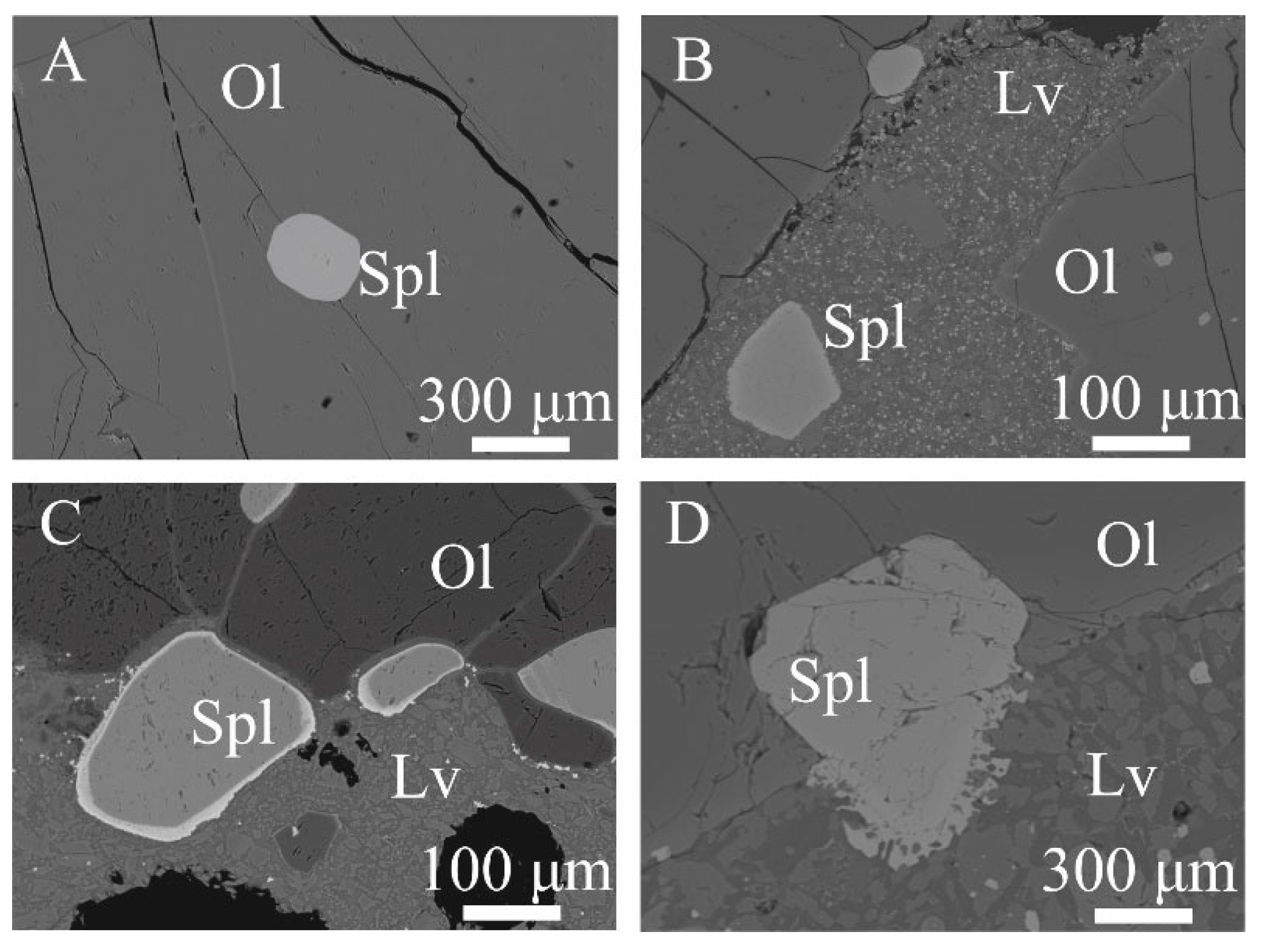 Minerals 14 00161 g013 Minerals 14 00161 g013