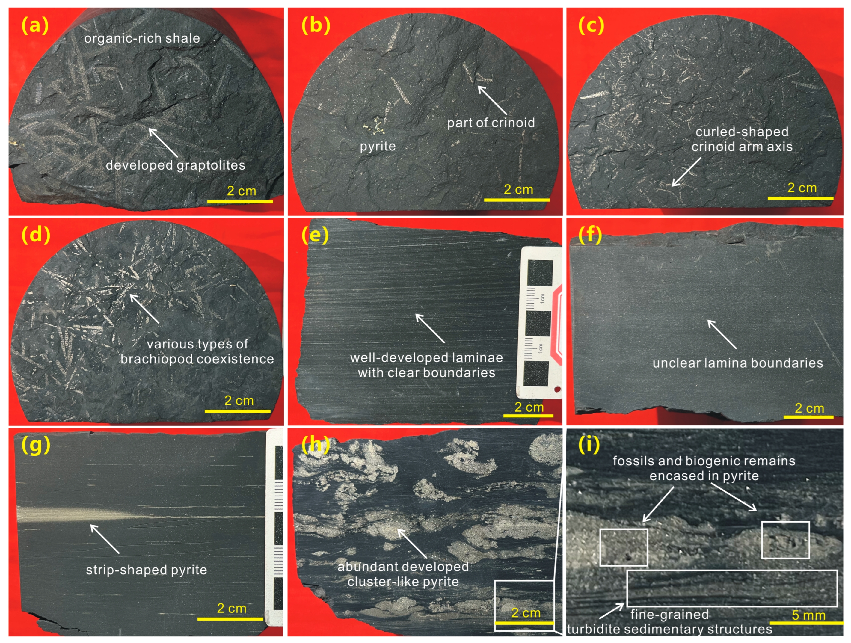 Minerals 14 00171 g003