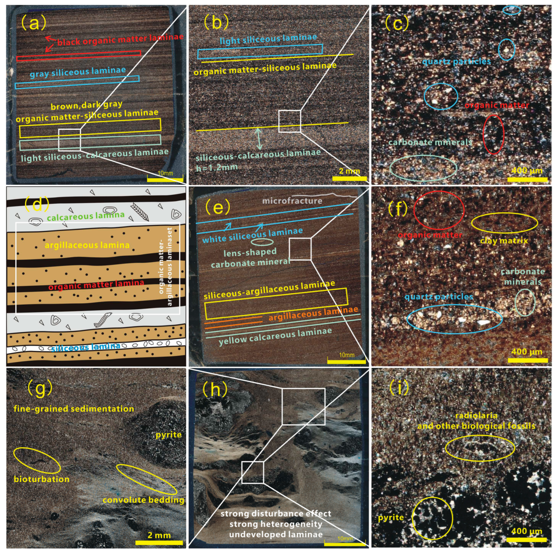 Minerals 14 00171 g006