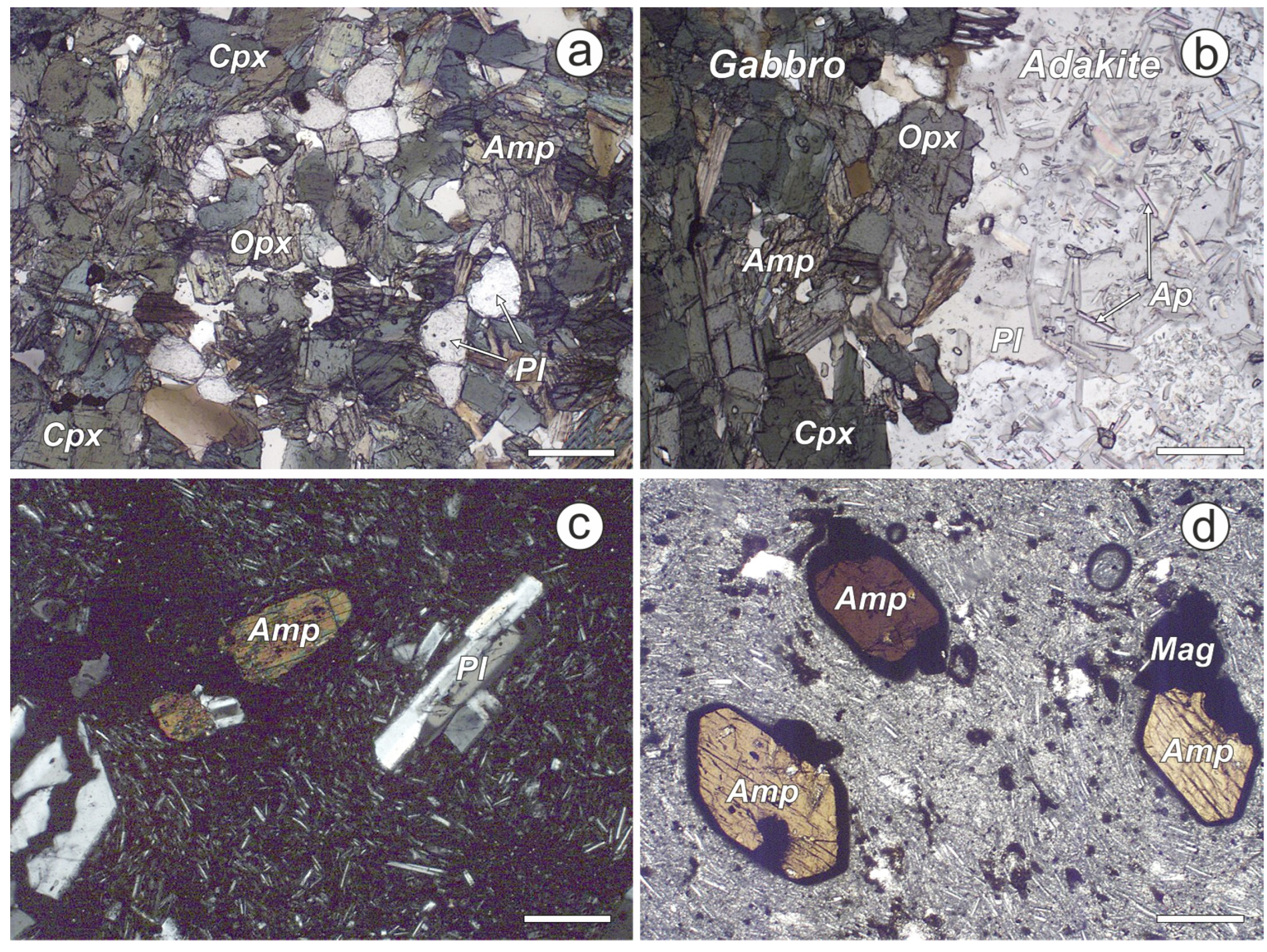 Minerals 14 00188 g002 Minerals 14 00188 g002