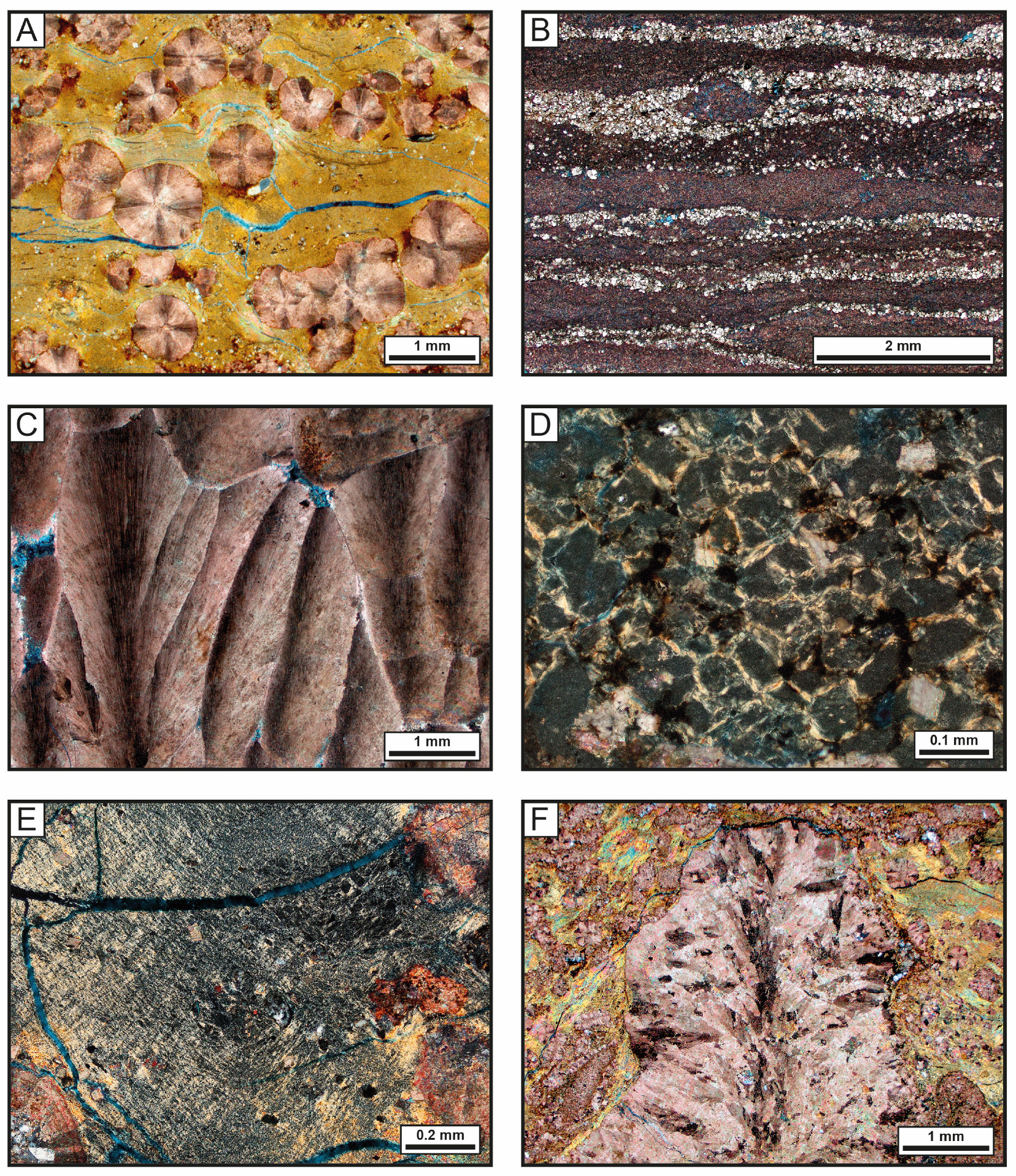Minerals 14 00191 g006