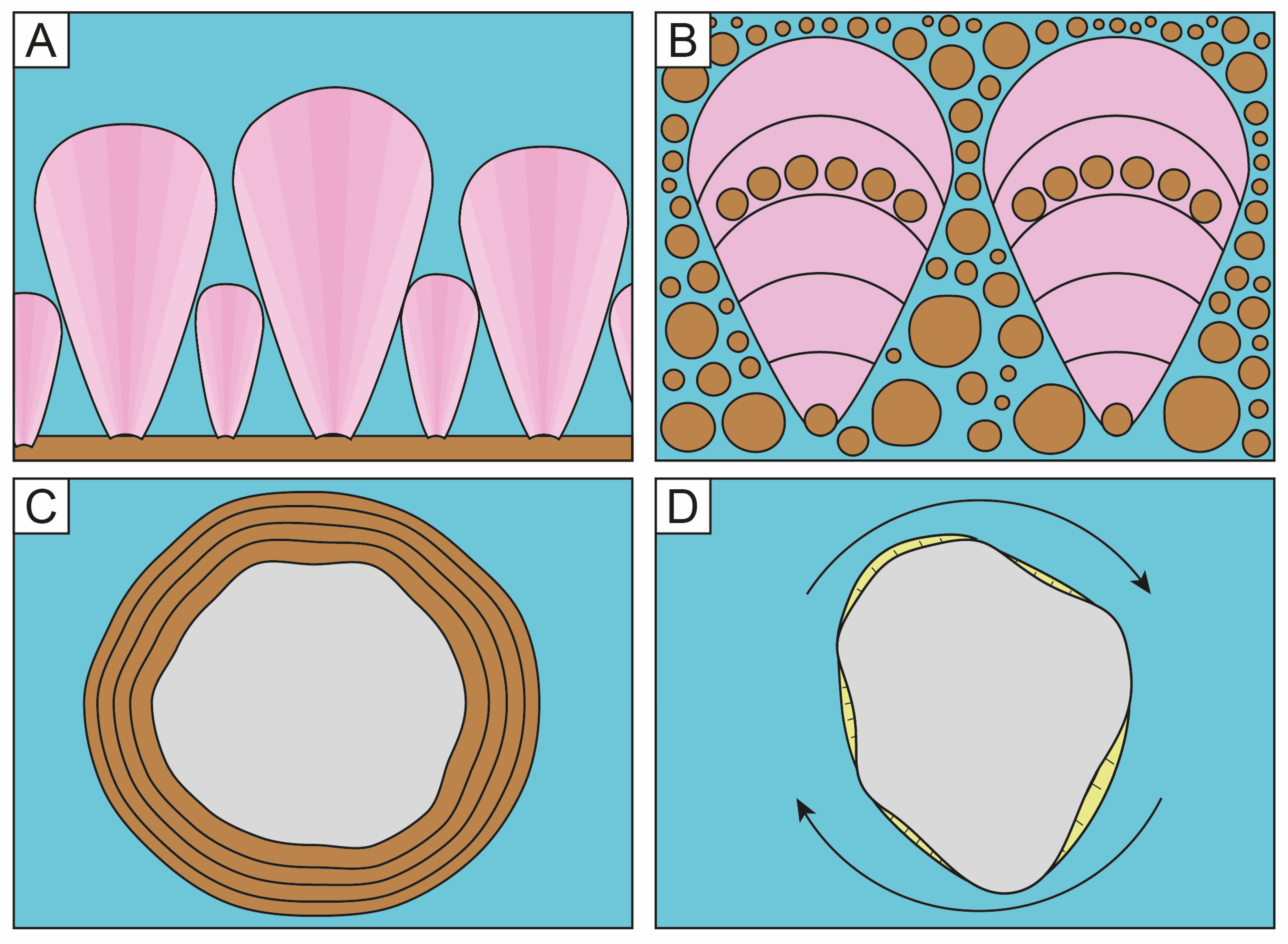 Minerals 14 00191 g009