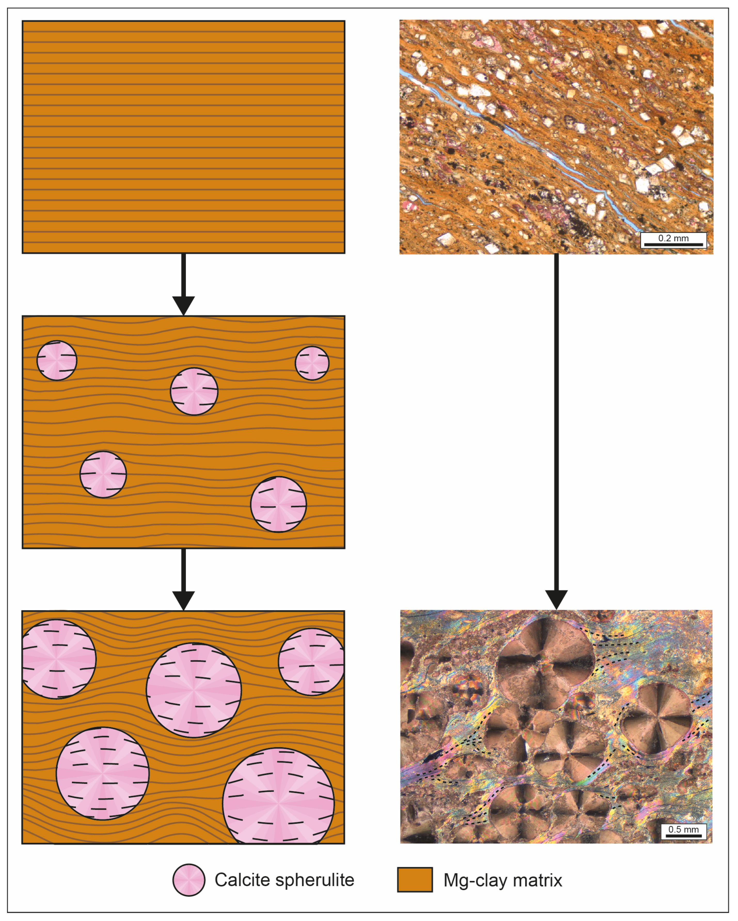 Minerals 14 00191 g013