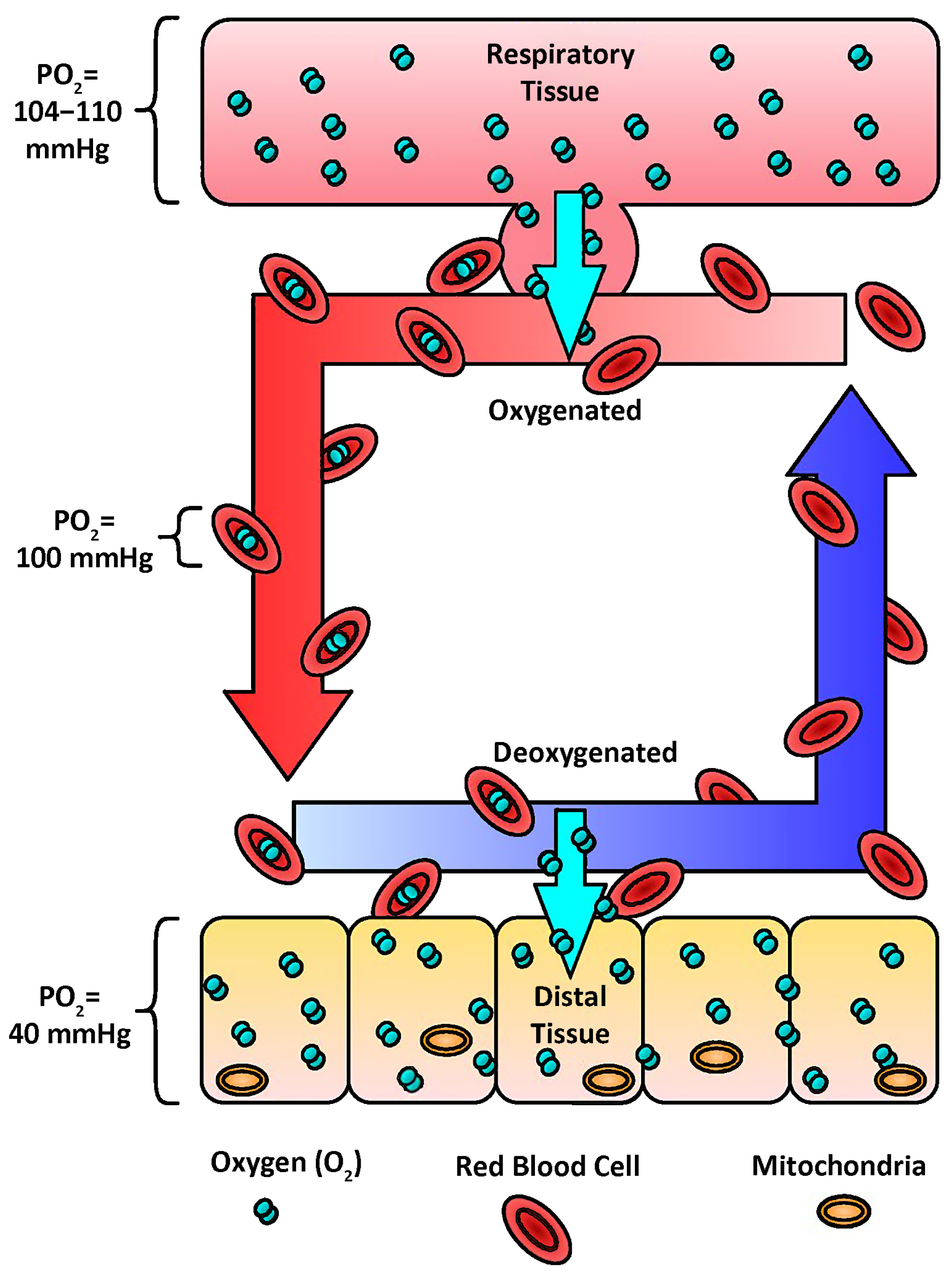 Minerals 14 00201 g005