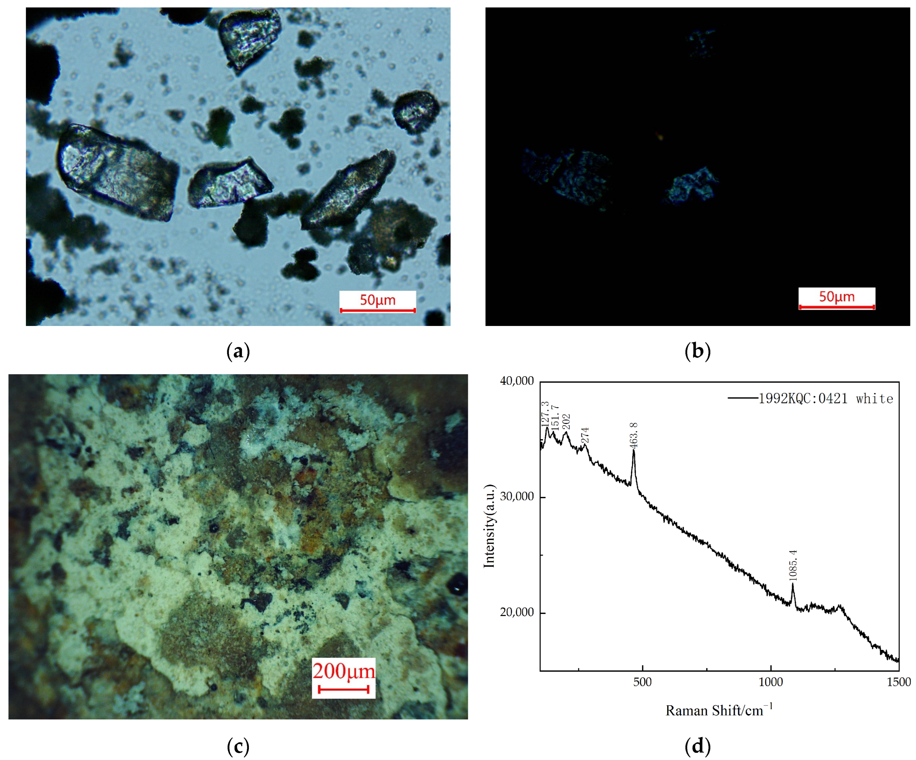 Minerals 14 00221 g004