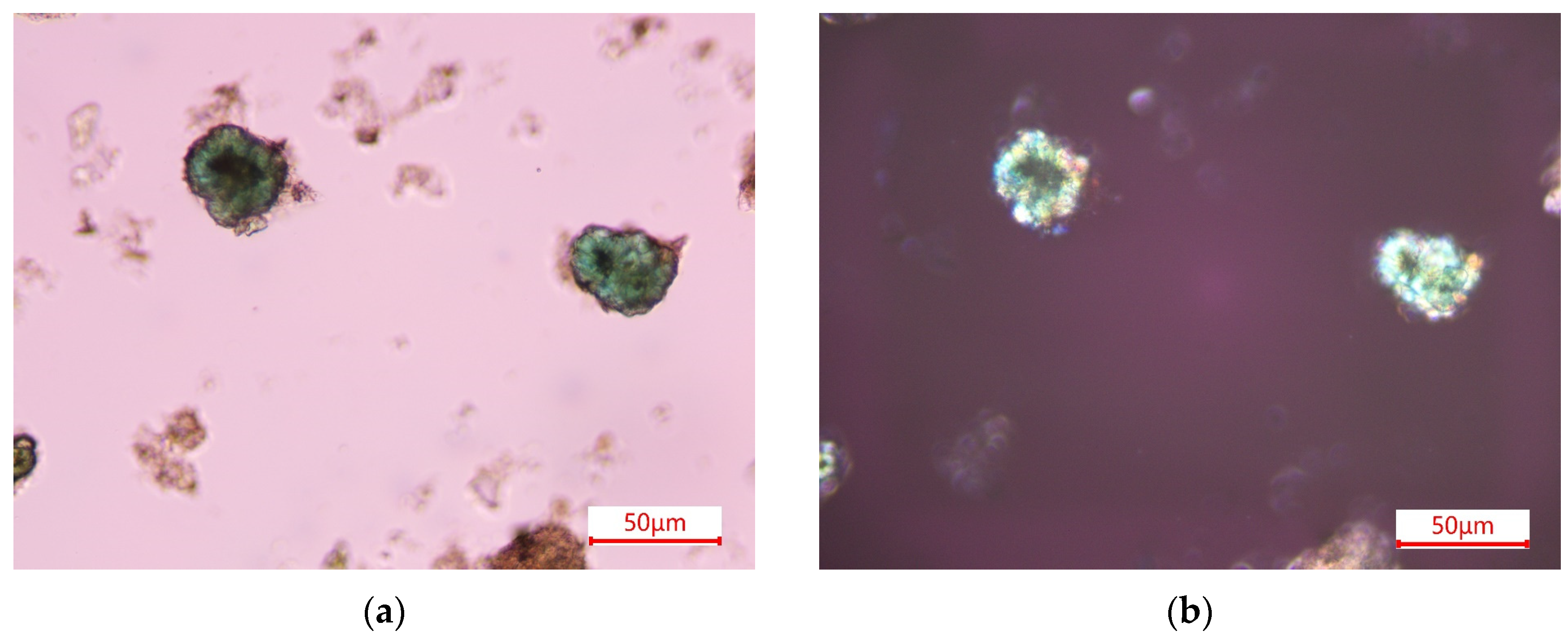 Minerals 14 00221 g013a