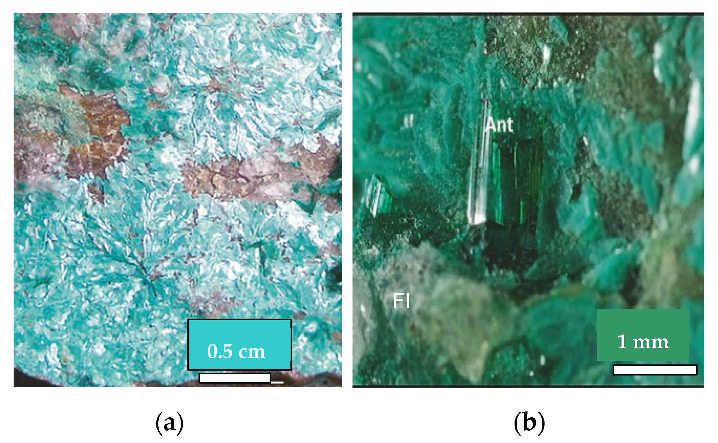 Minerals 14 00228 g007