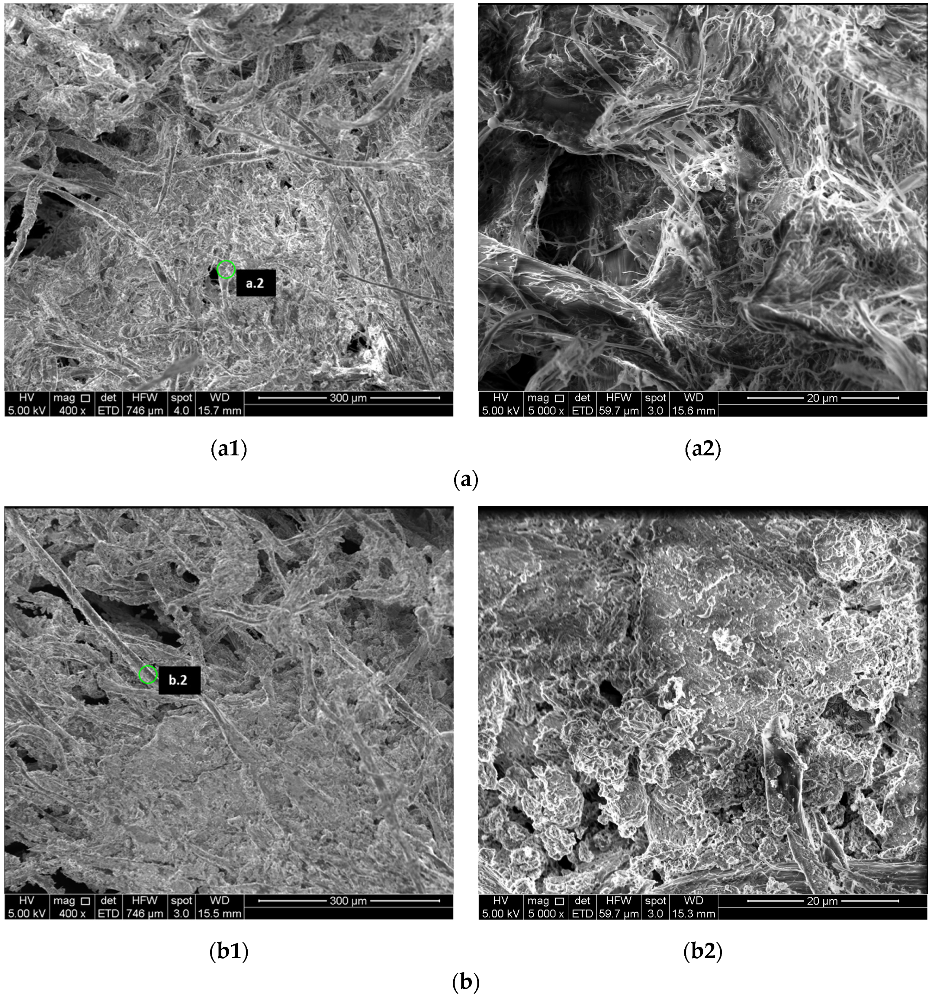 Minerals 14 00240 g003a Minerals 14 00240 g003a