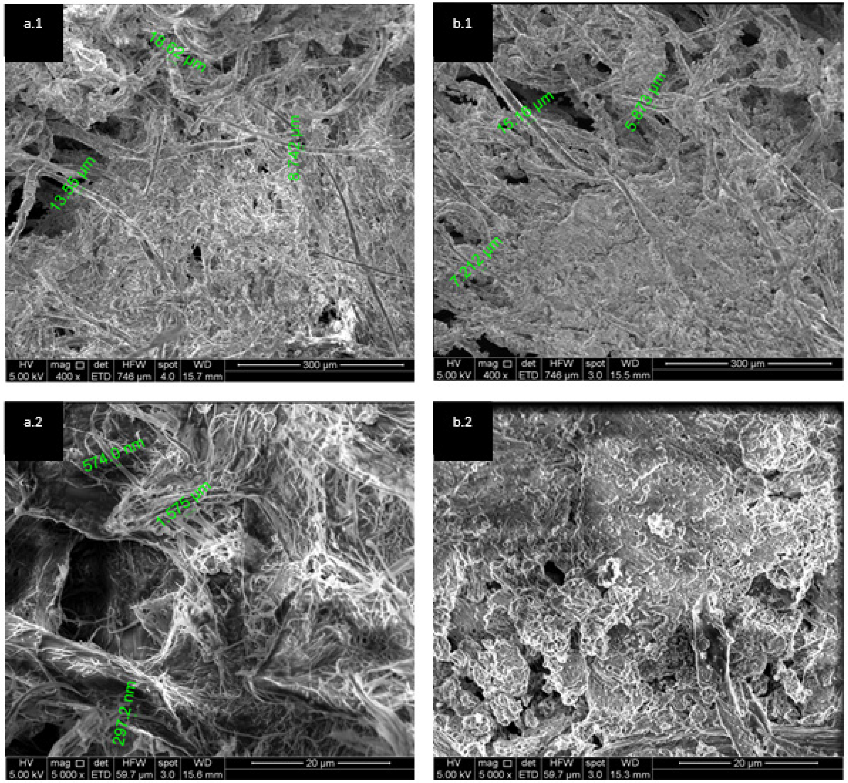 Minerals 14 00240 g0a1 Minerals 14 00240 g0a1