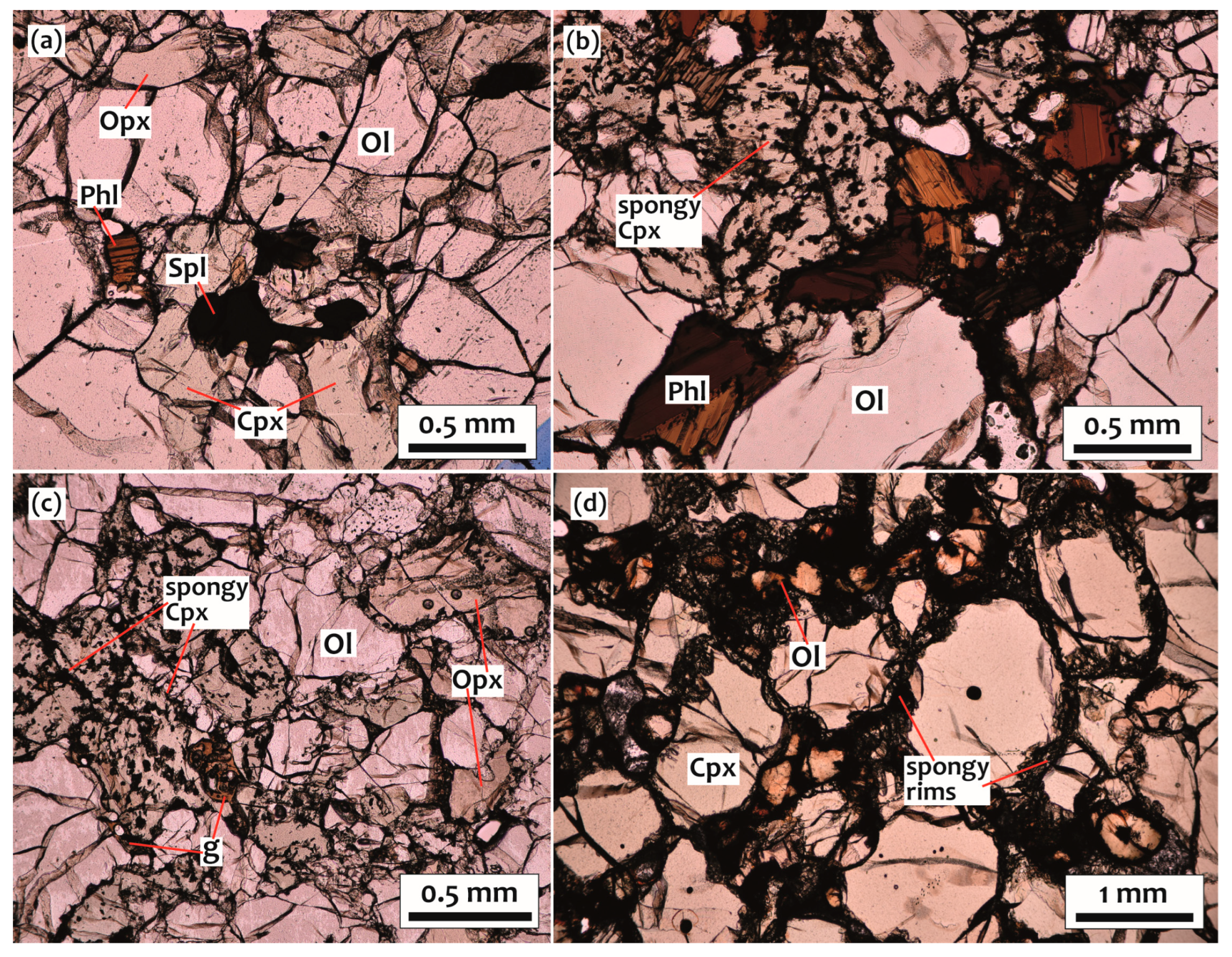 Minerals 14 00241 g003 Minerals 14 00241 g003