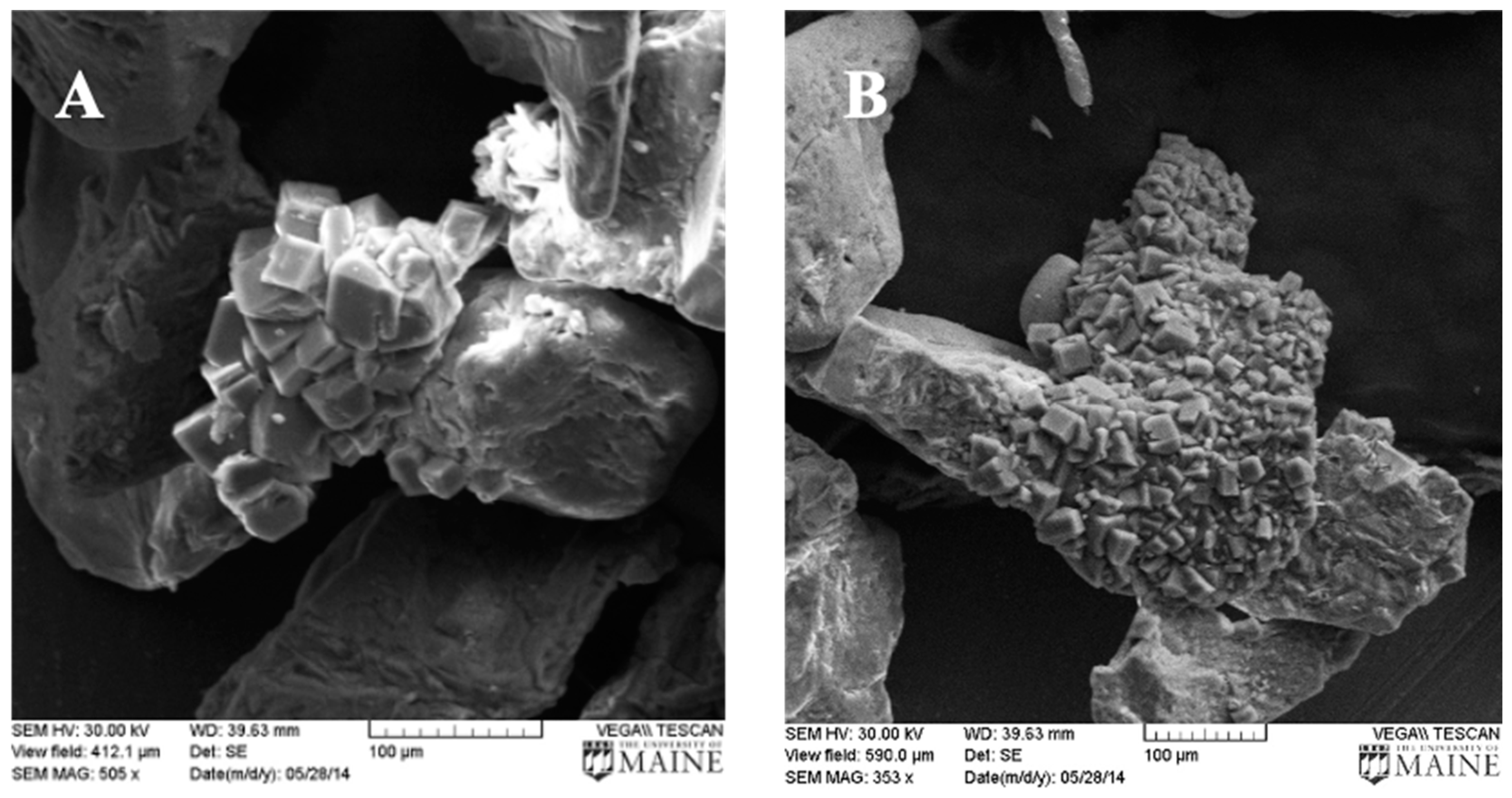 Minerals 14 00256 g003