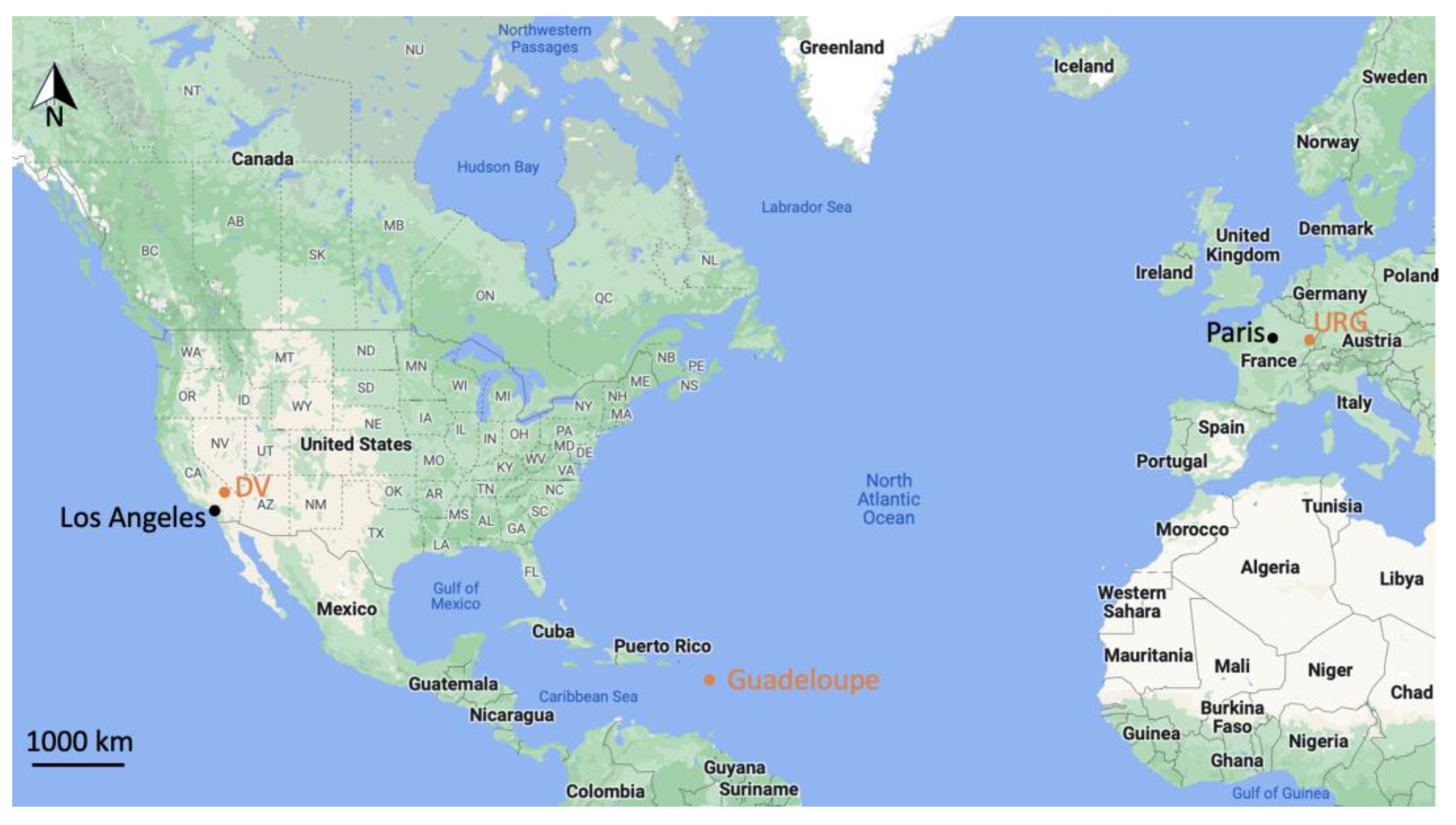 Minerals 14 00263 g001